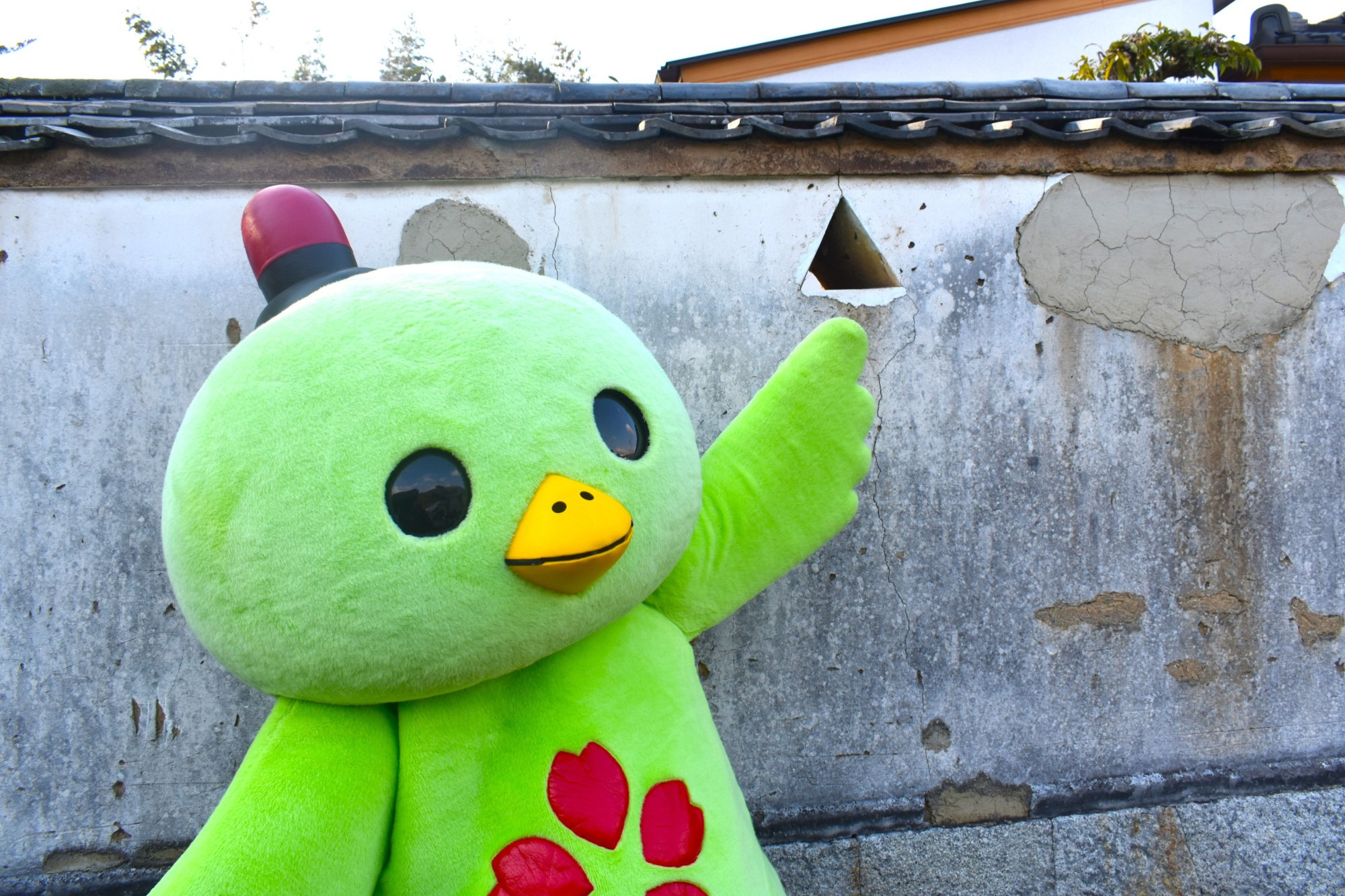 銃眼付土塀（東側）