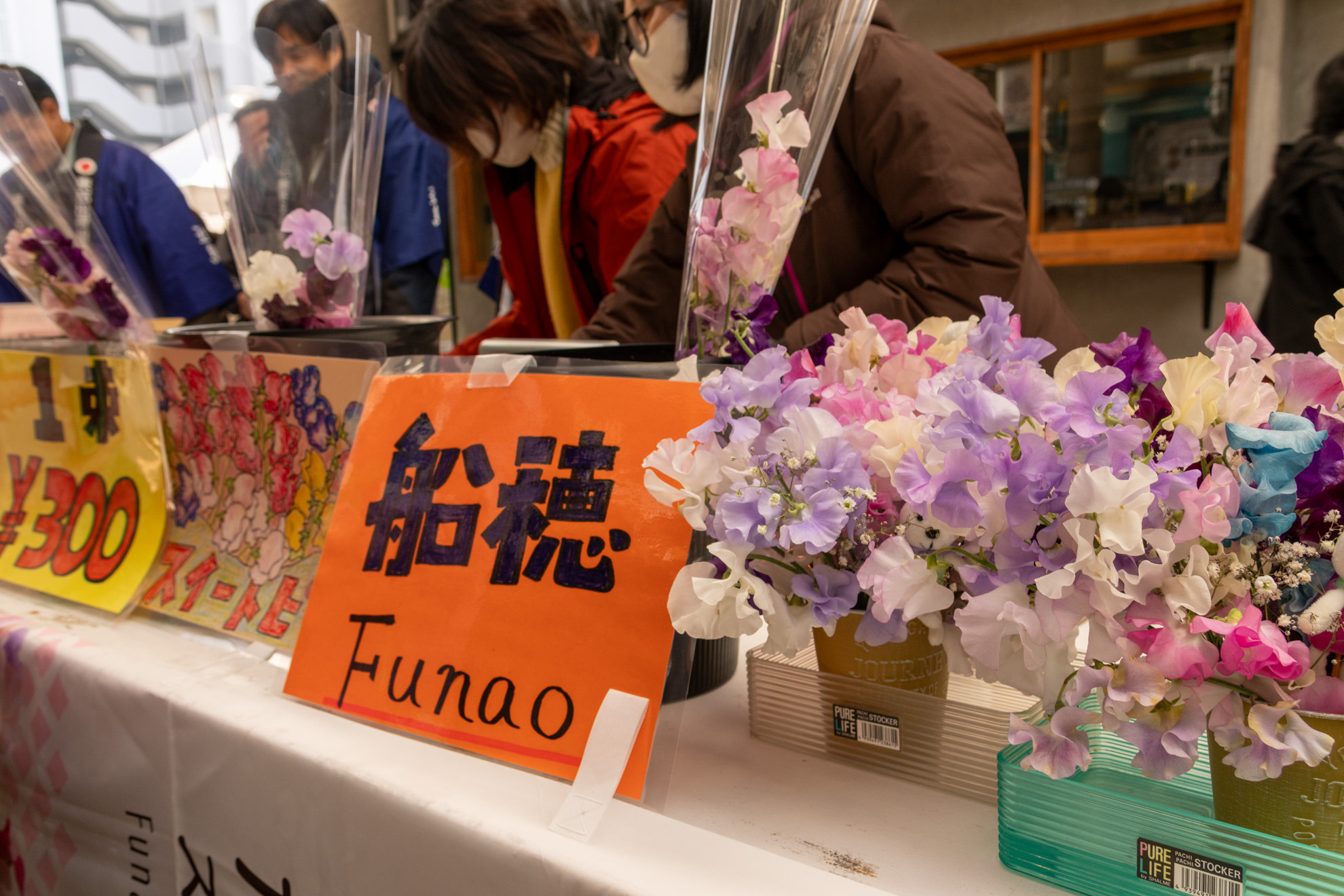 倉敷市船穂町特産のスイートピーを直売