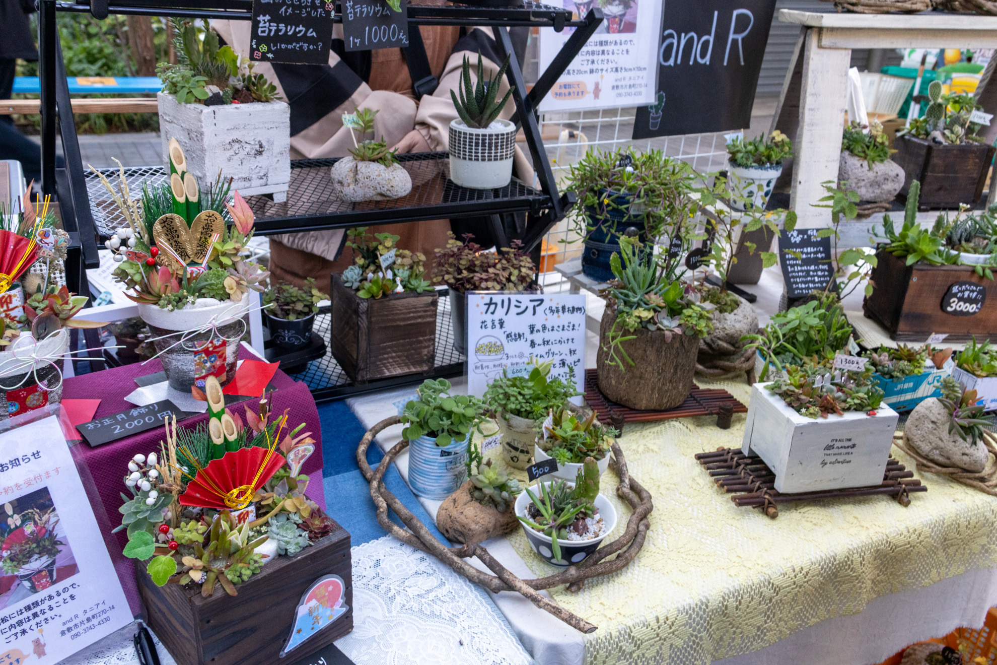 さまざまな趣向を凝らした多肉植物の寄せ植え