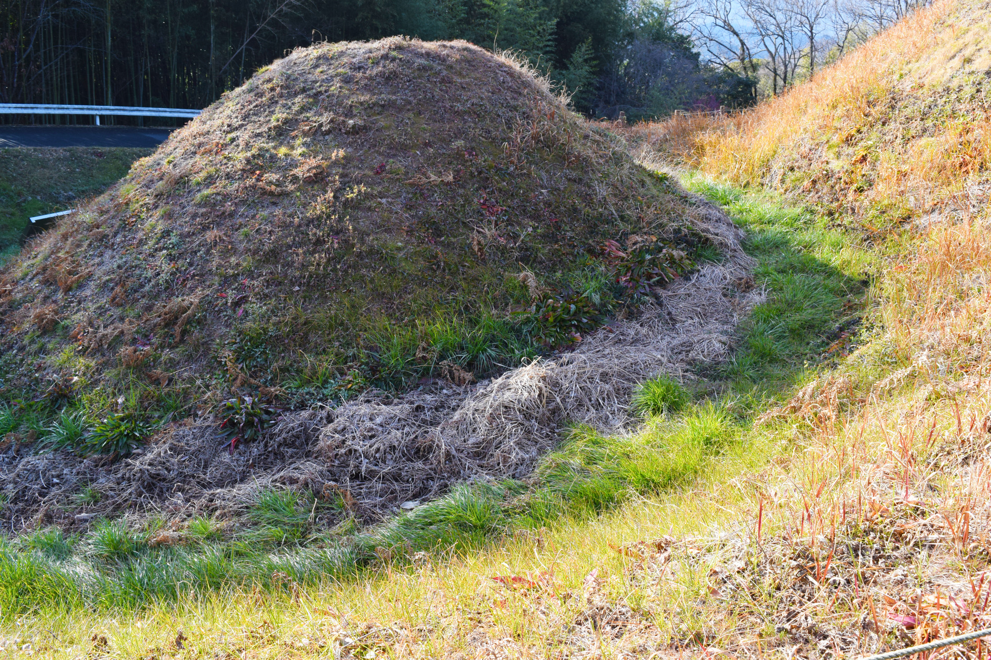 とても小さな周濠