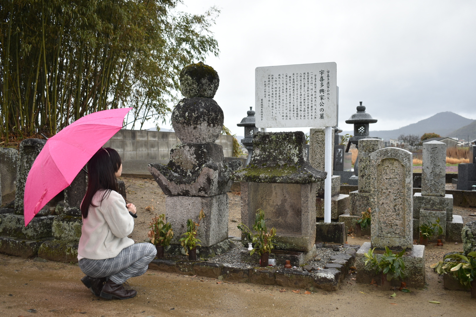 宇喜多興家の墓