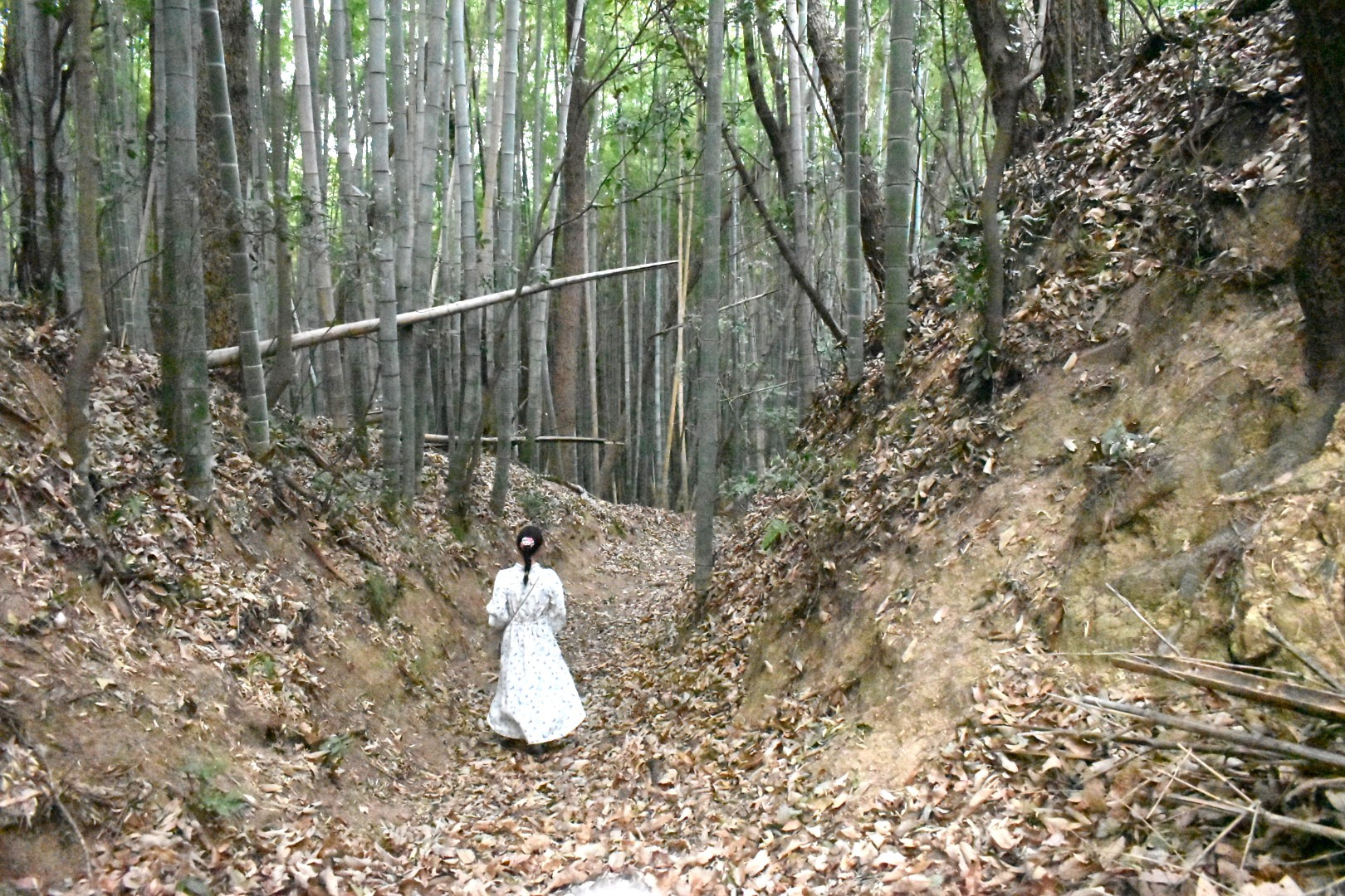 東側堀切(道は後世のもの)