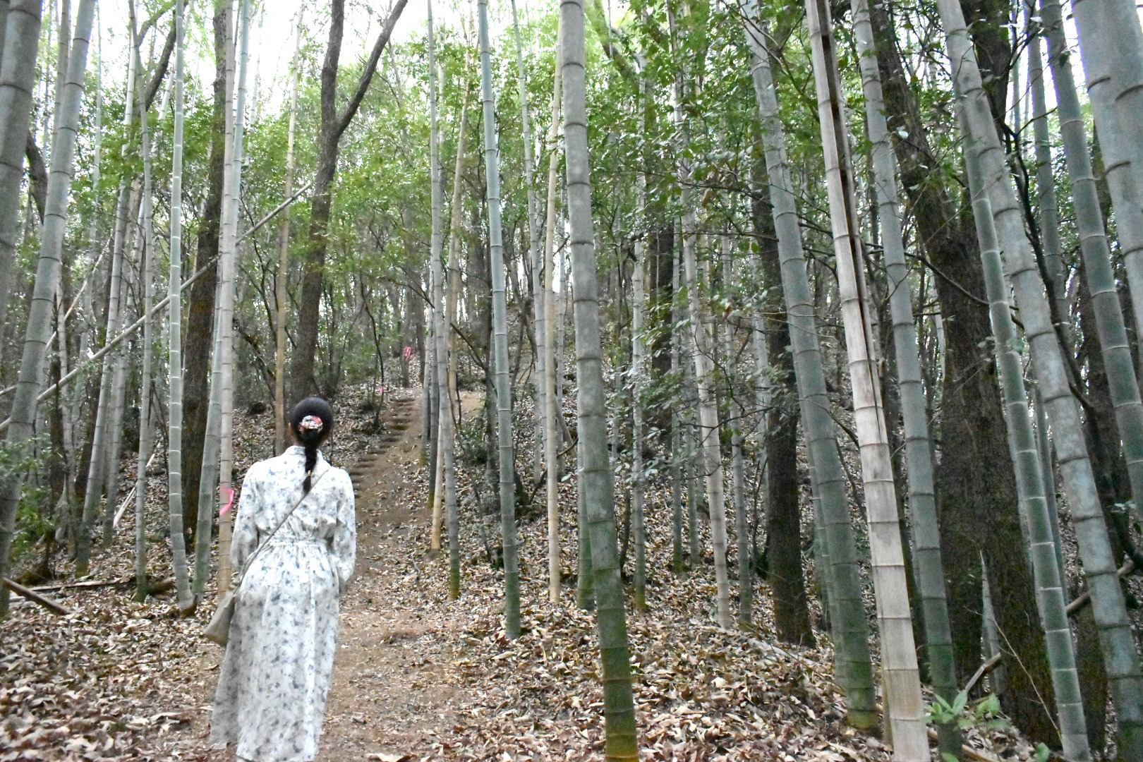 堀切より城内へ