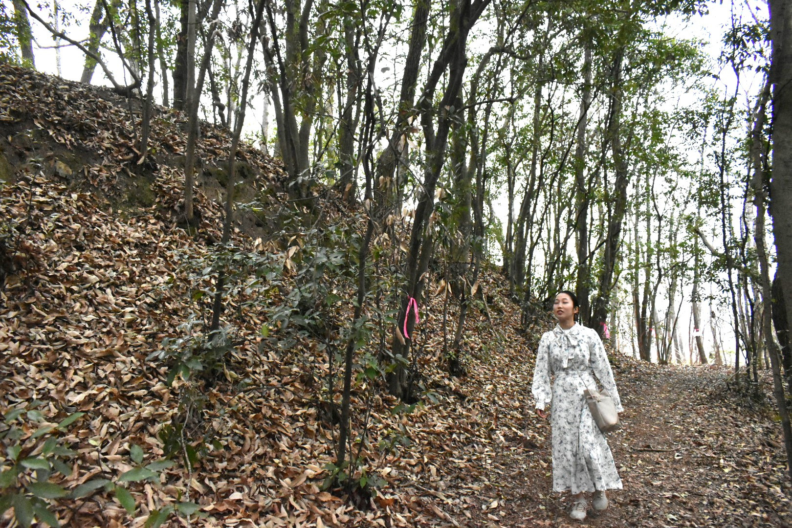 本壇下の帯曲輪