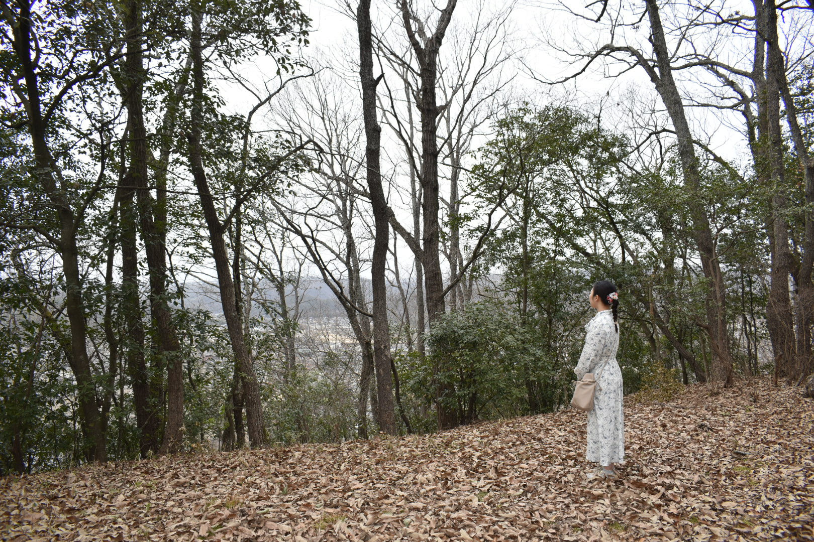 本壇より北を望む