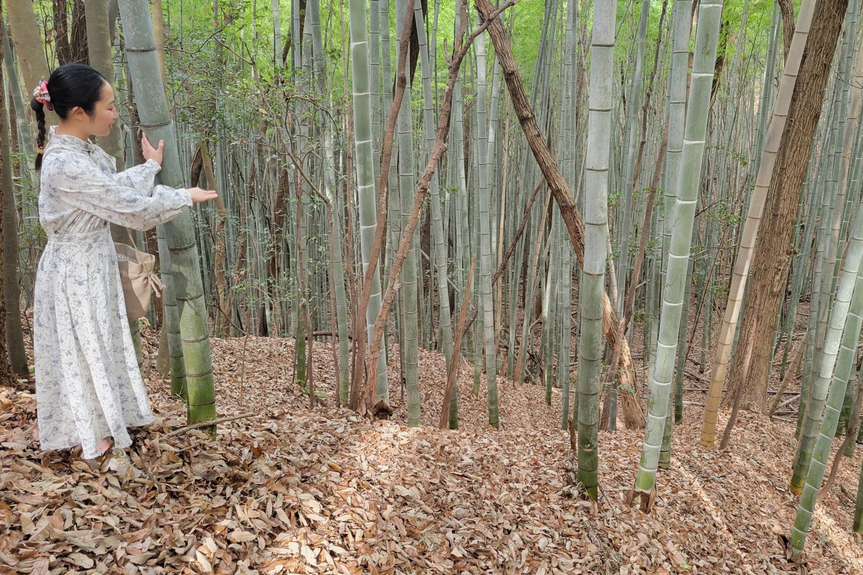 東側の畝状竪堀群