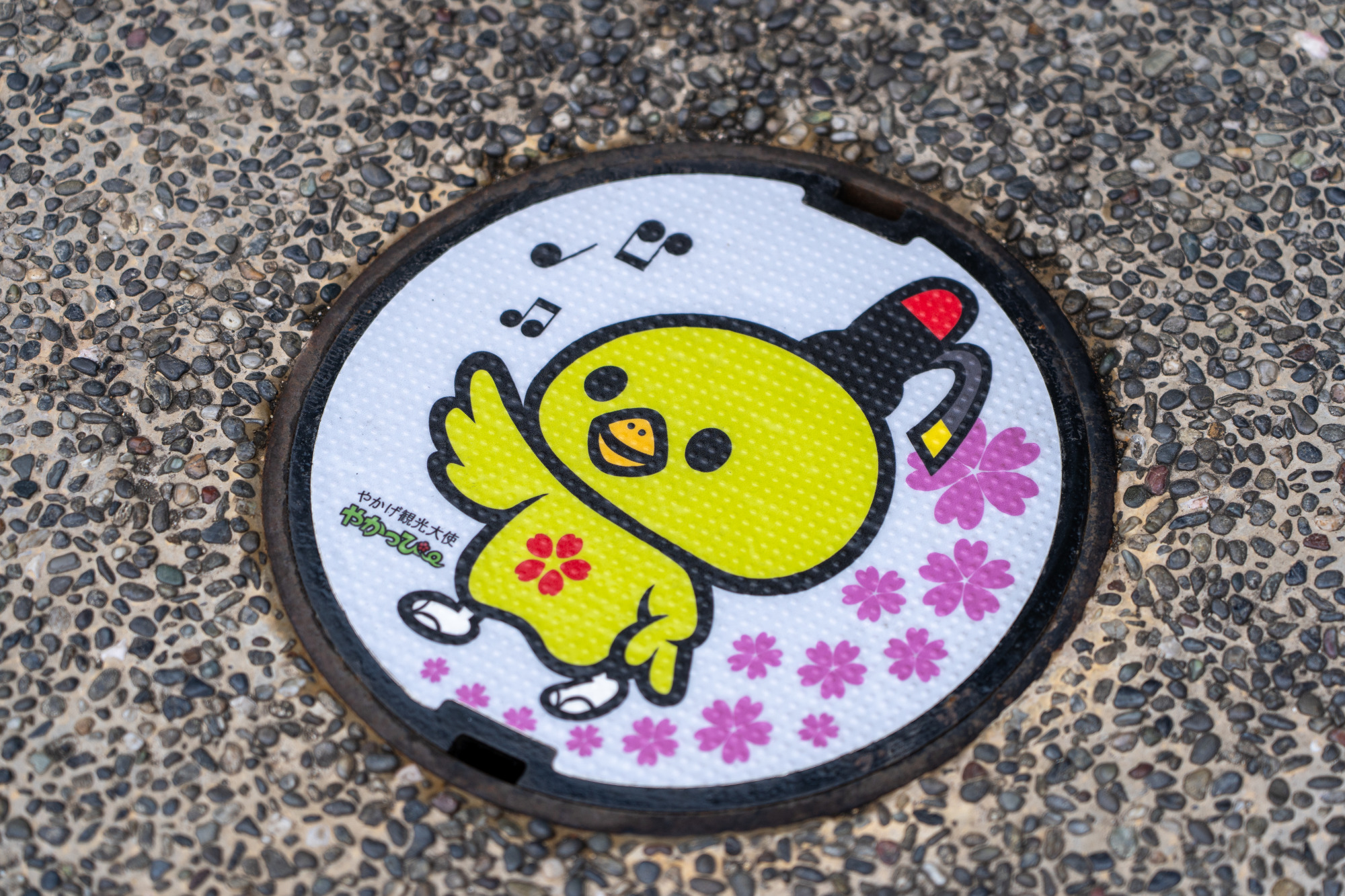 本館入口前のやかっぴーマンホール