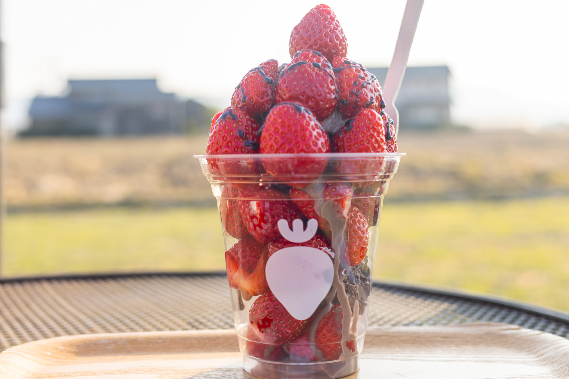 チョコところころのいちご