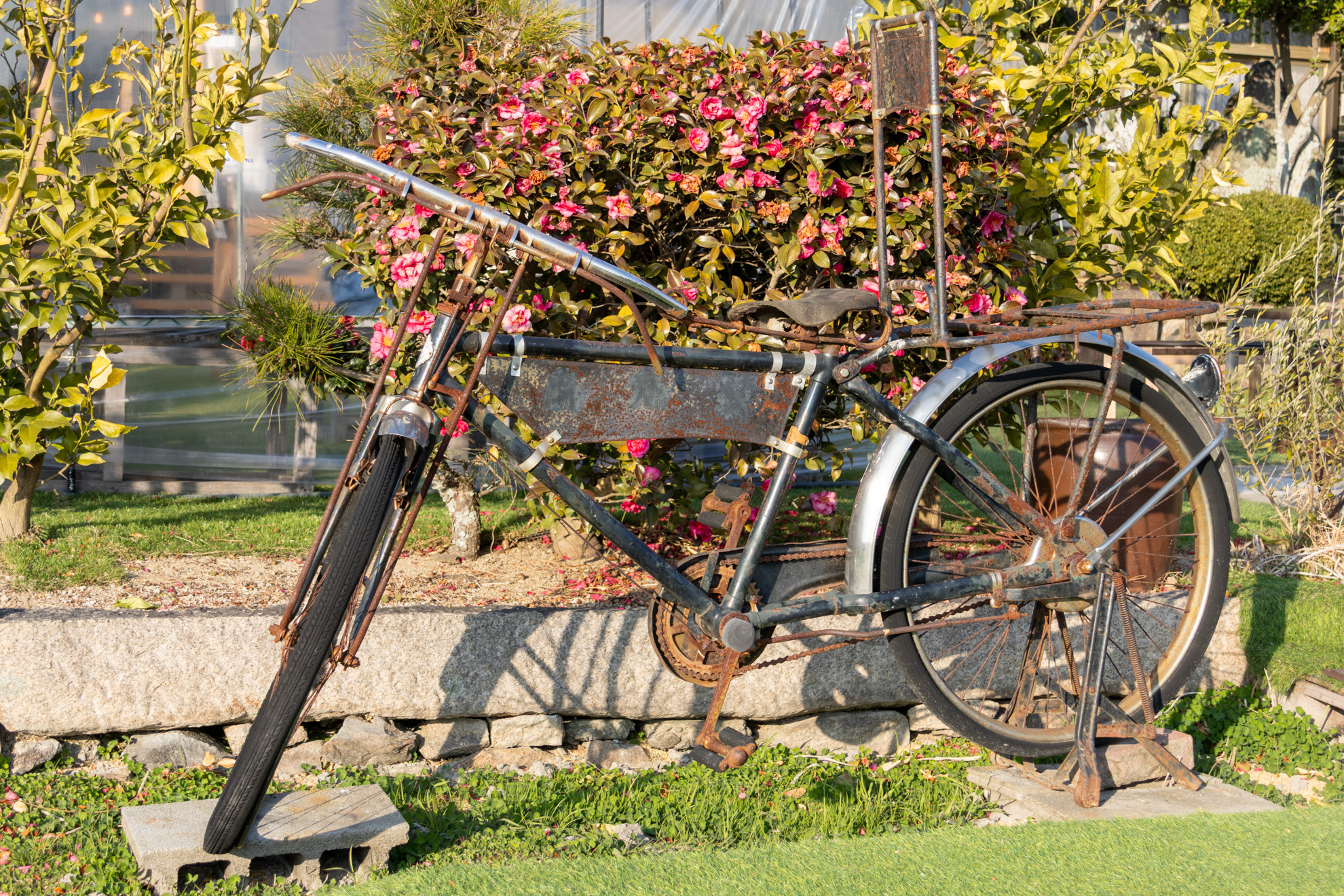 庭にはレトロな自転車も