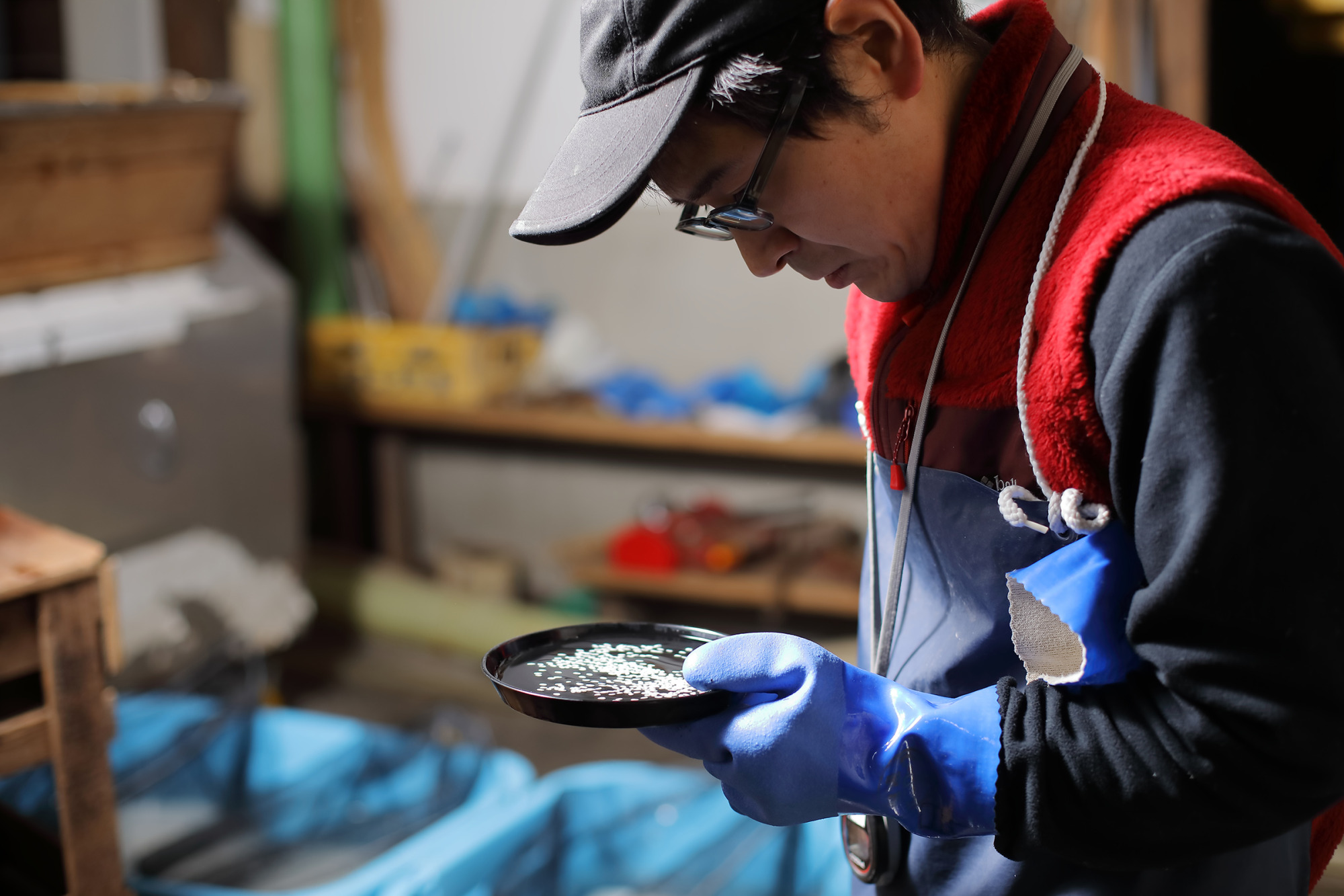 米の状態を確認（画像提供：落酒造場）