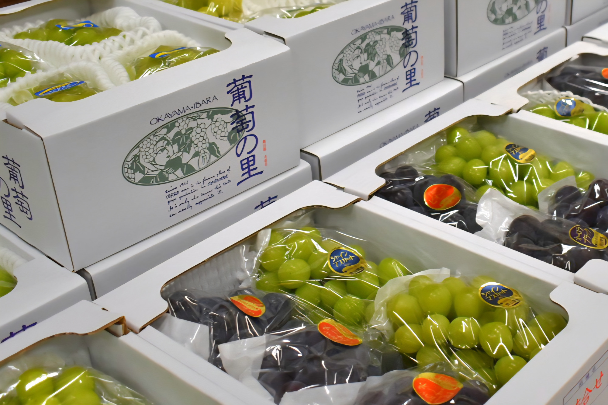 井原市青野地区・葡萄浪漫館