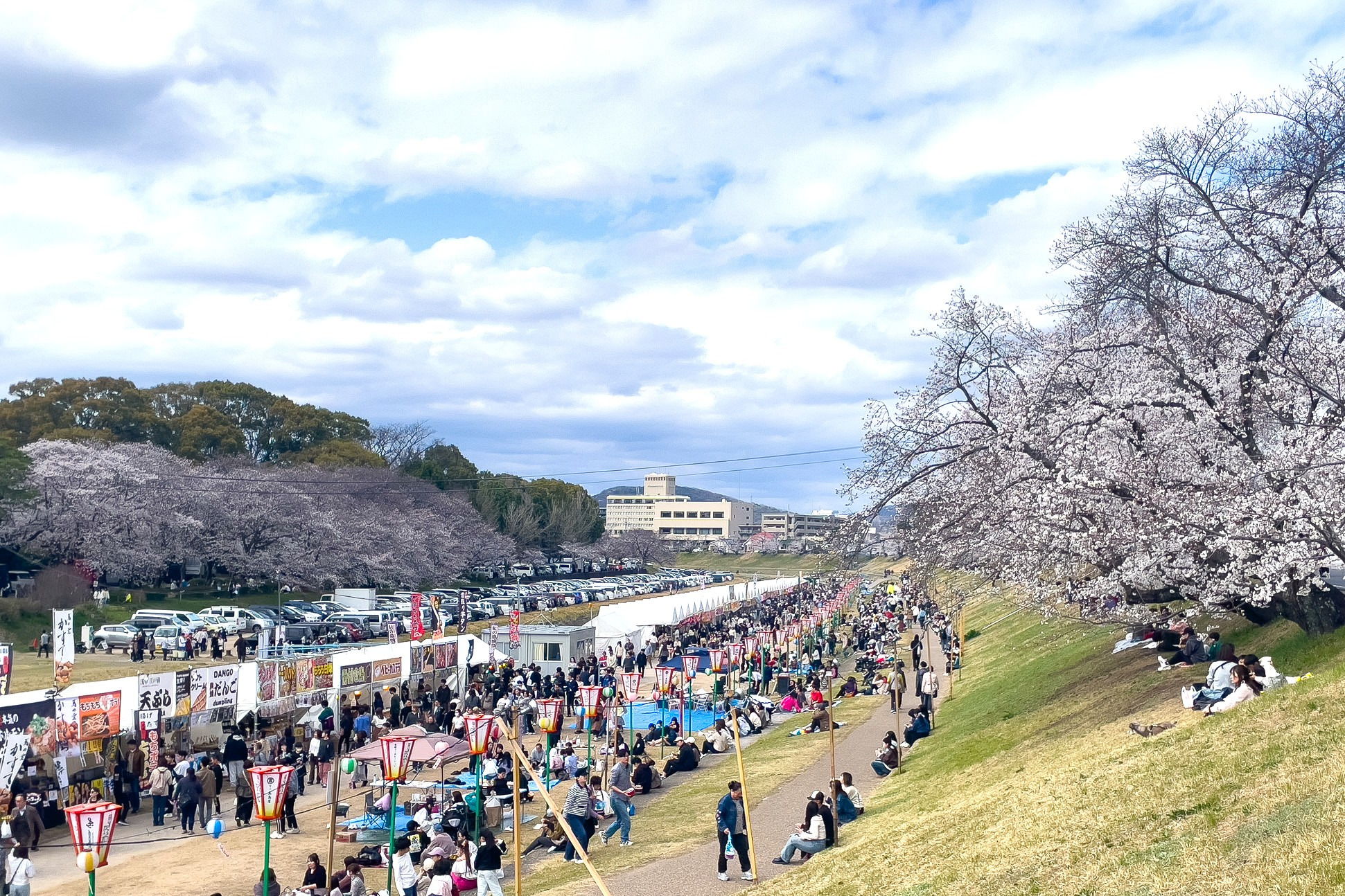 岡山さくらカーニバル
