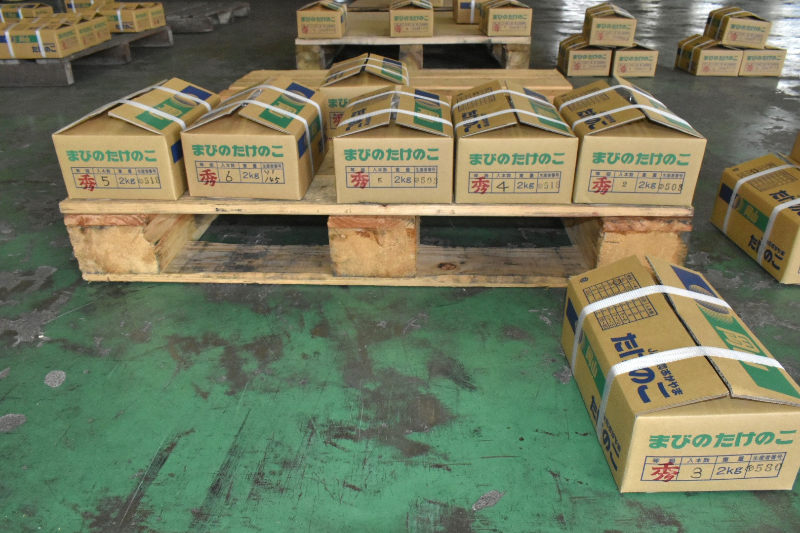 高品質な「まびのたけのこ」