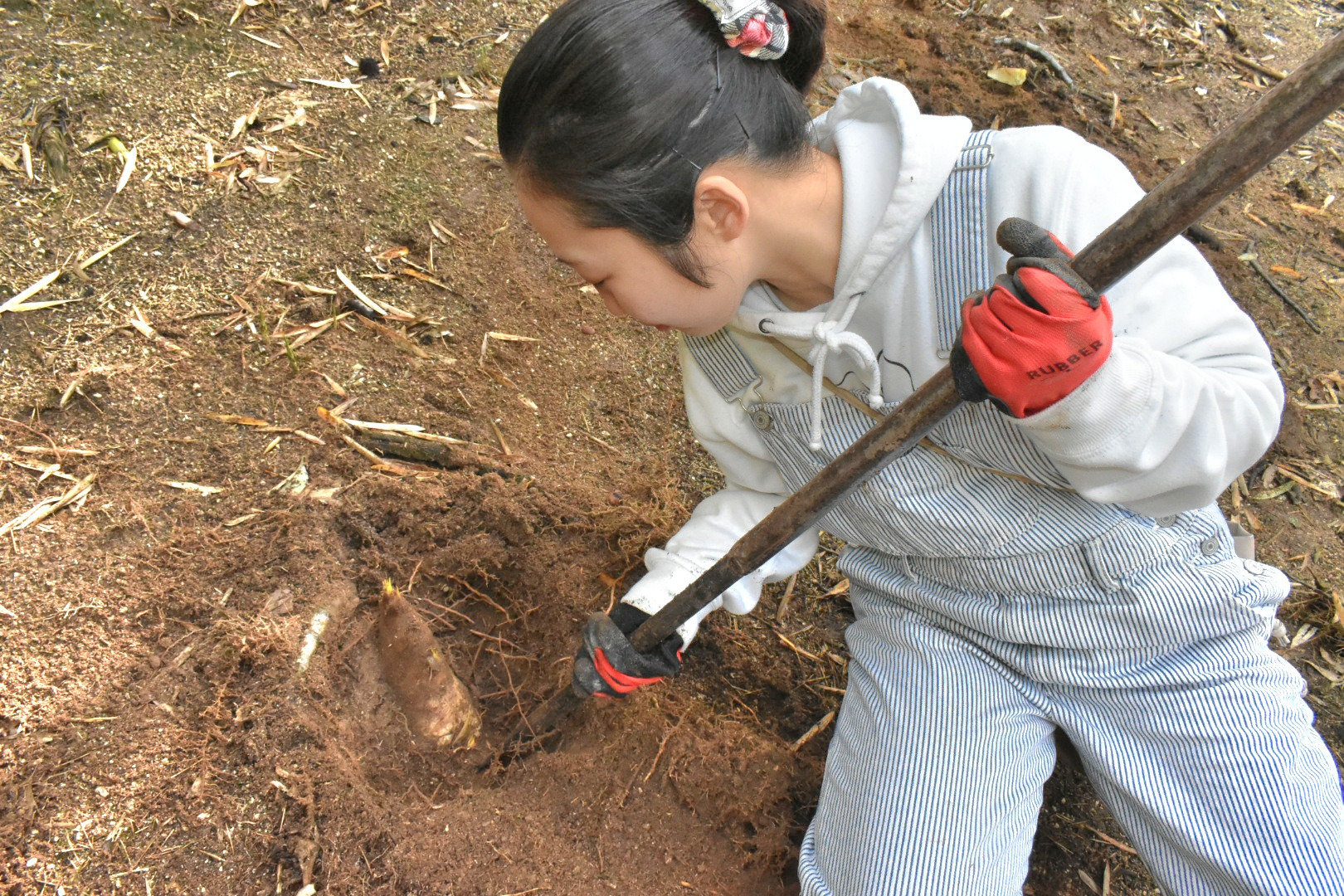 一番下を突き棒で・・・