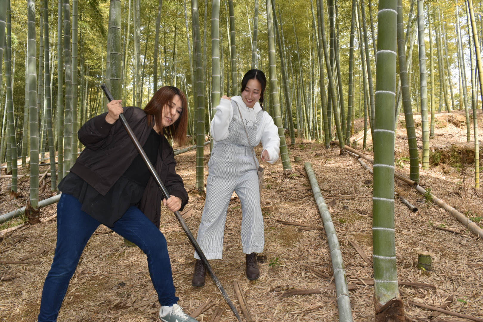 綺麗な竹林でリアル体験