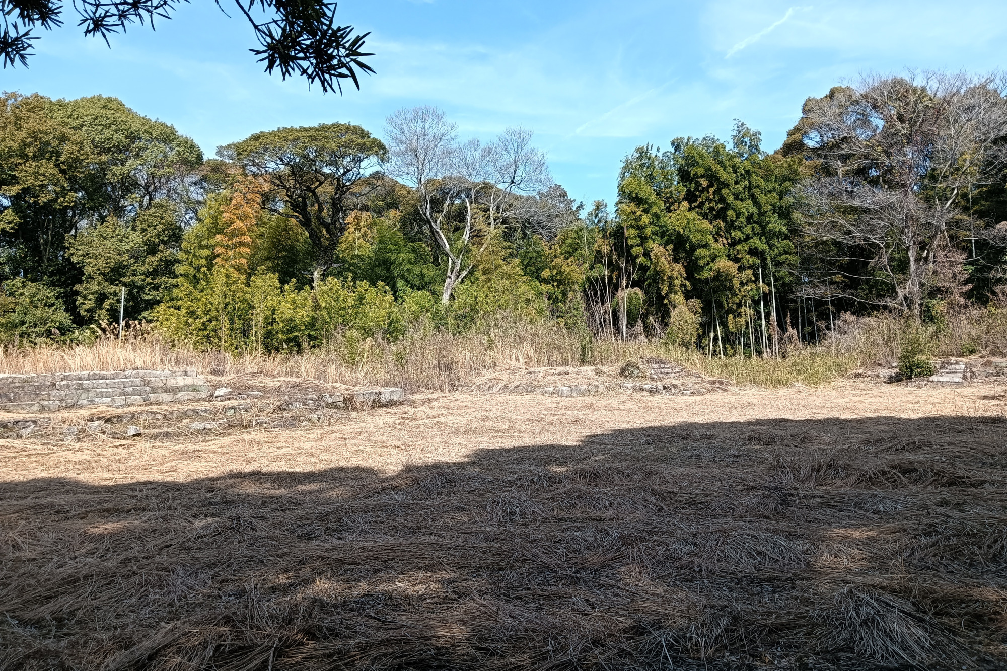 礎石だけが残る境内