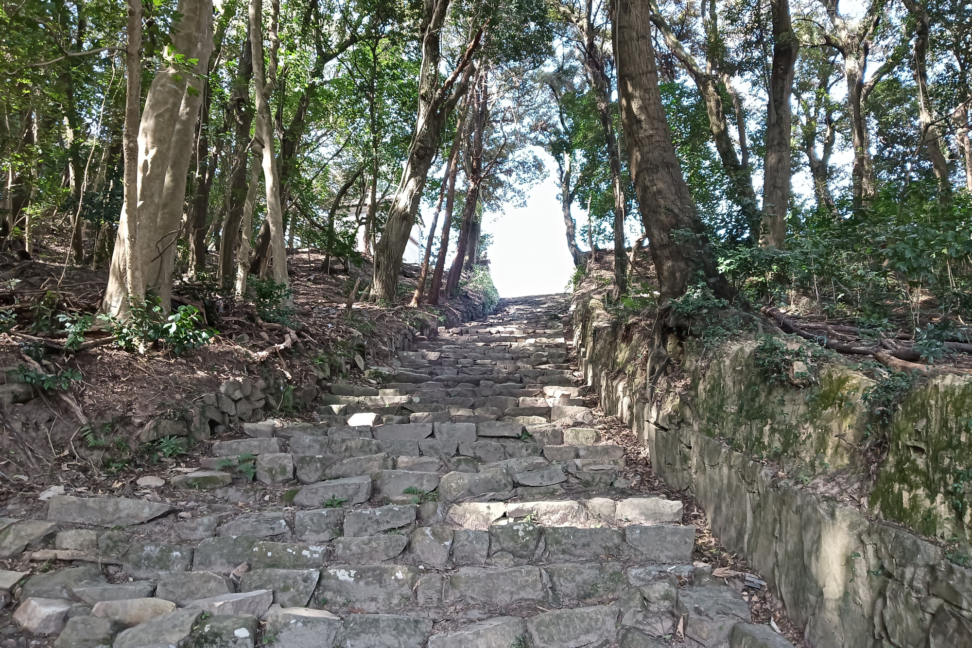 当時の賑わいを感じる広い階段