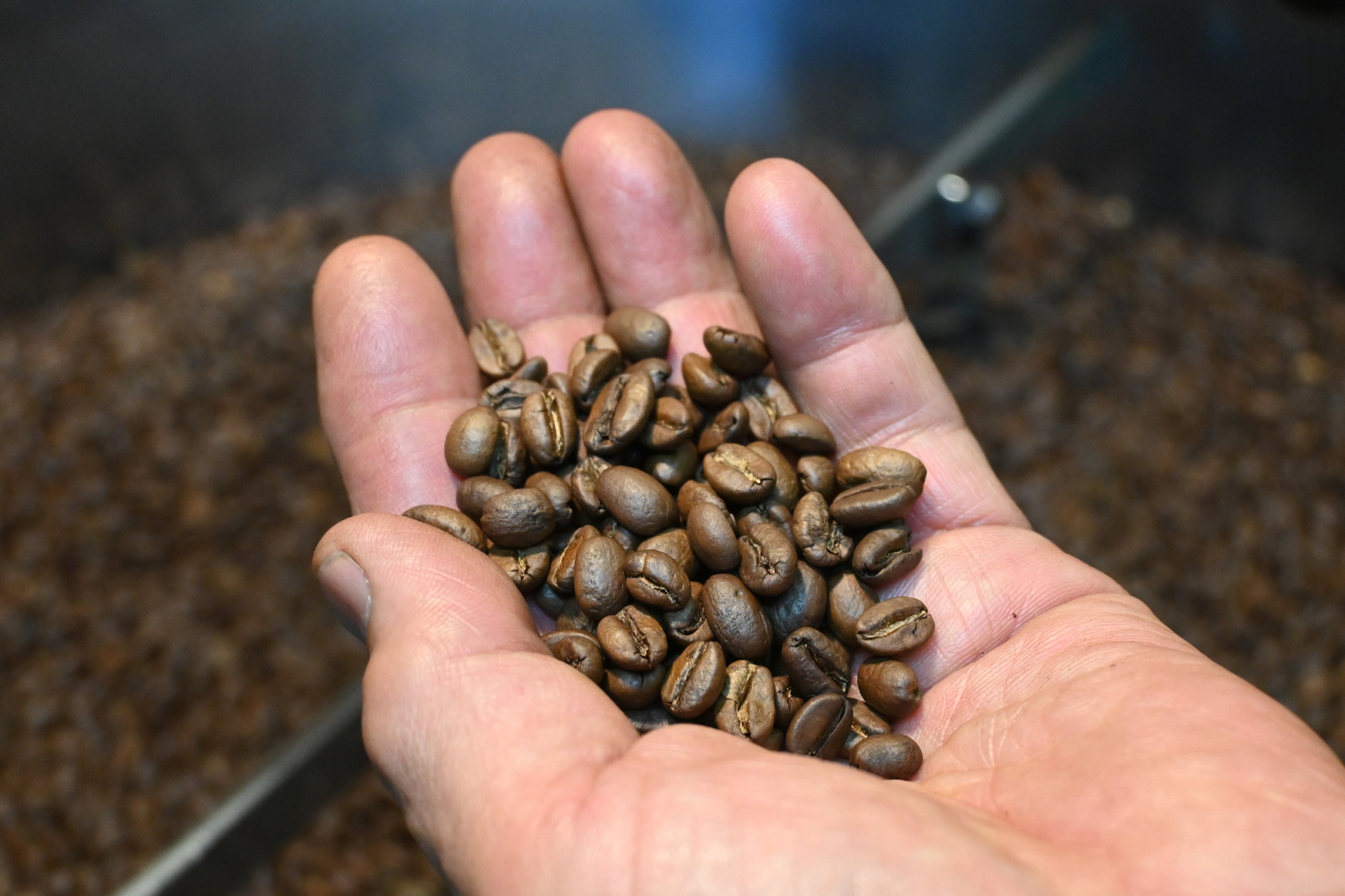 豆の状態を丁寧に確認