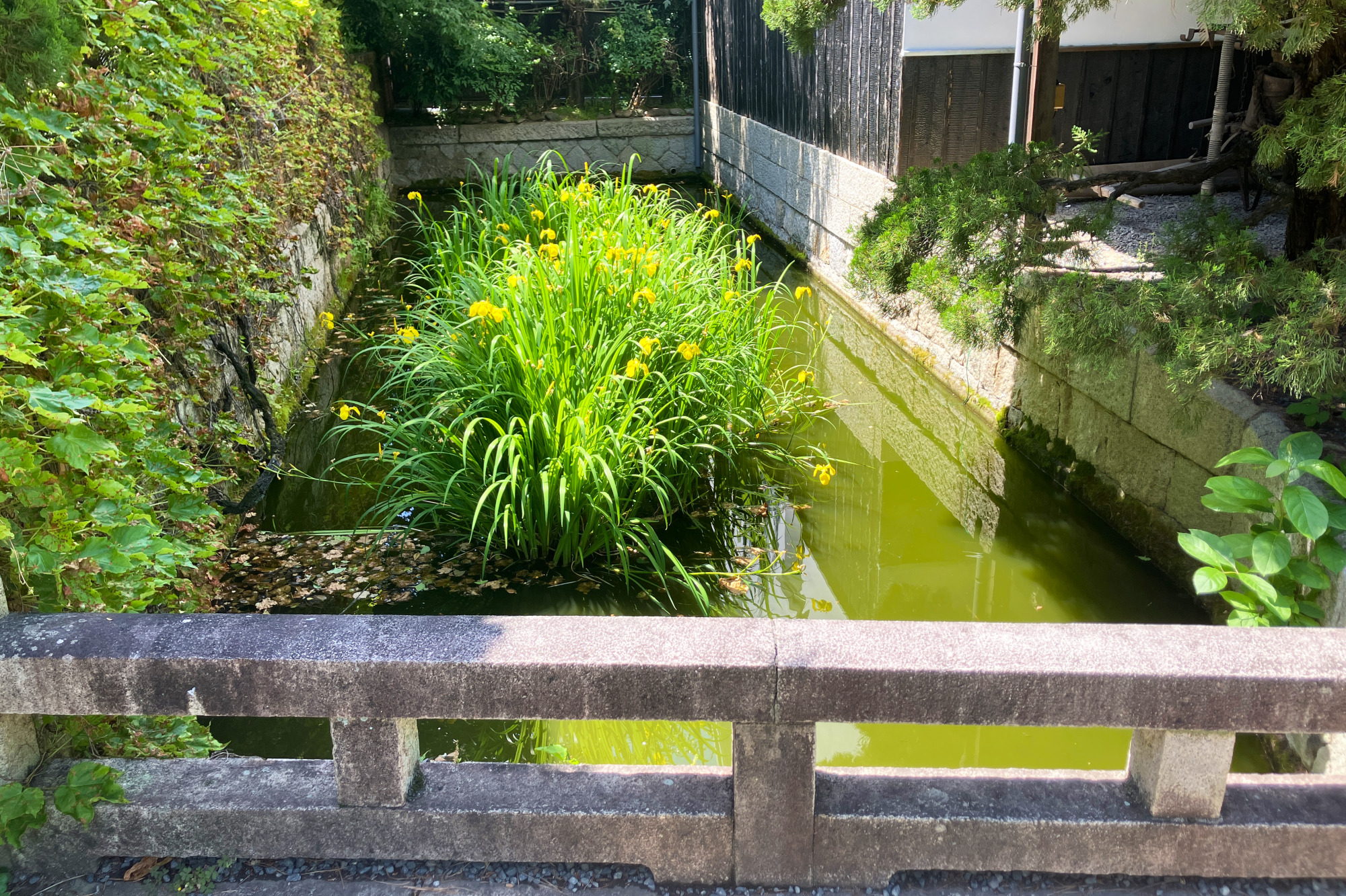 倉敷代官所跡