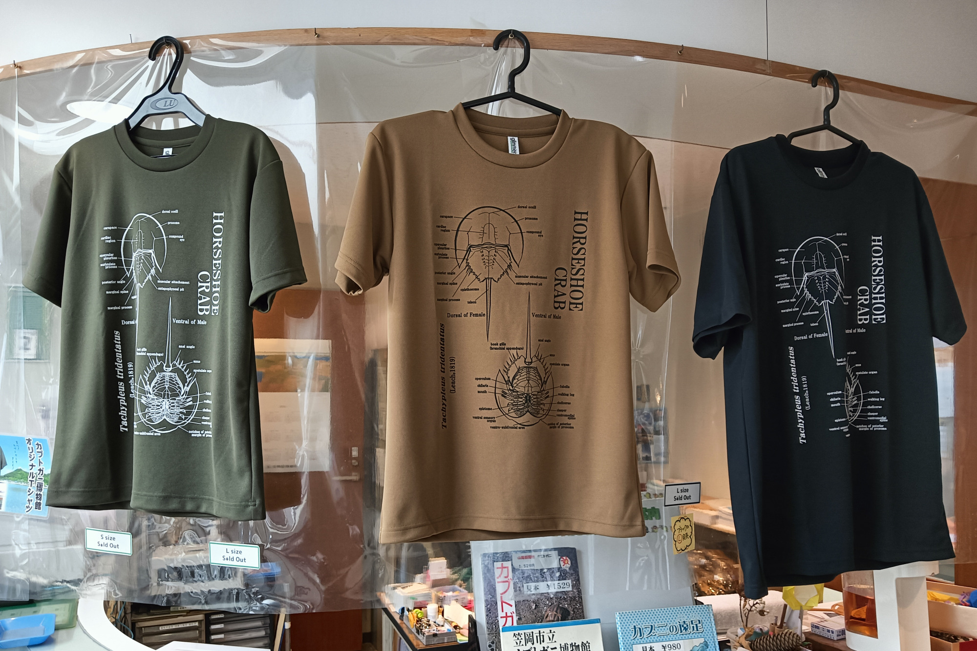 カブトガニ博物館オリジナルTシャツ