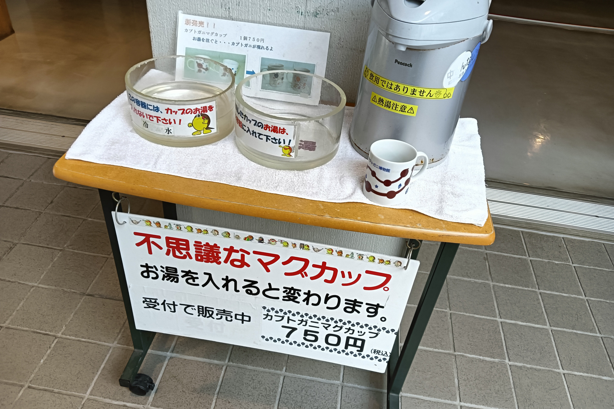 絵が変わるマグカップ