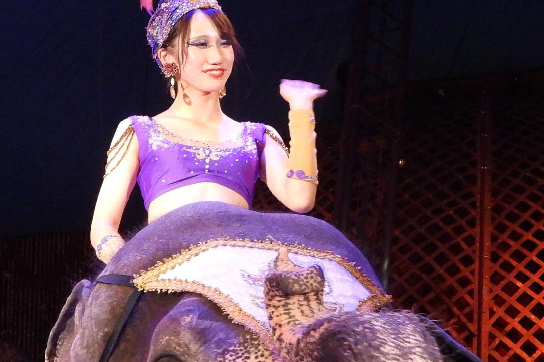 公演にて象に乗る杉野さん（写真提供：木下サーカス）