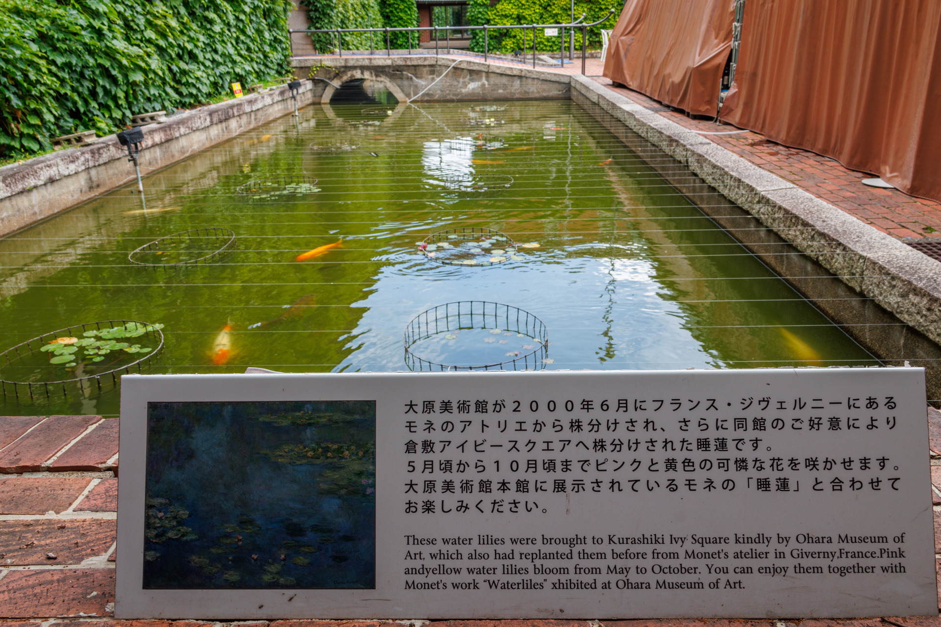 中庭の池の横には、モネの睡蓮についての説明板もあります