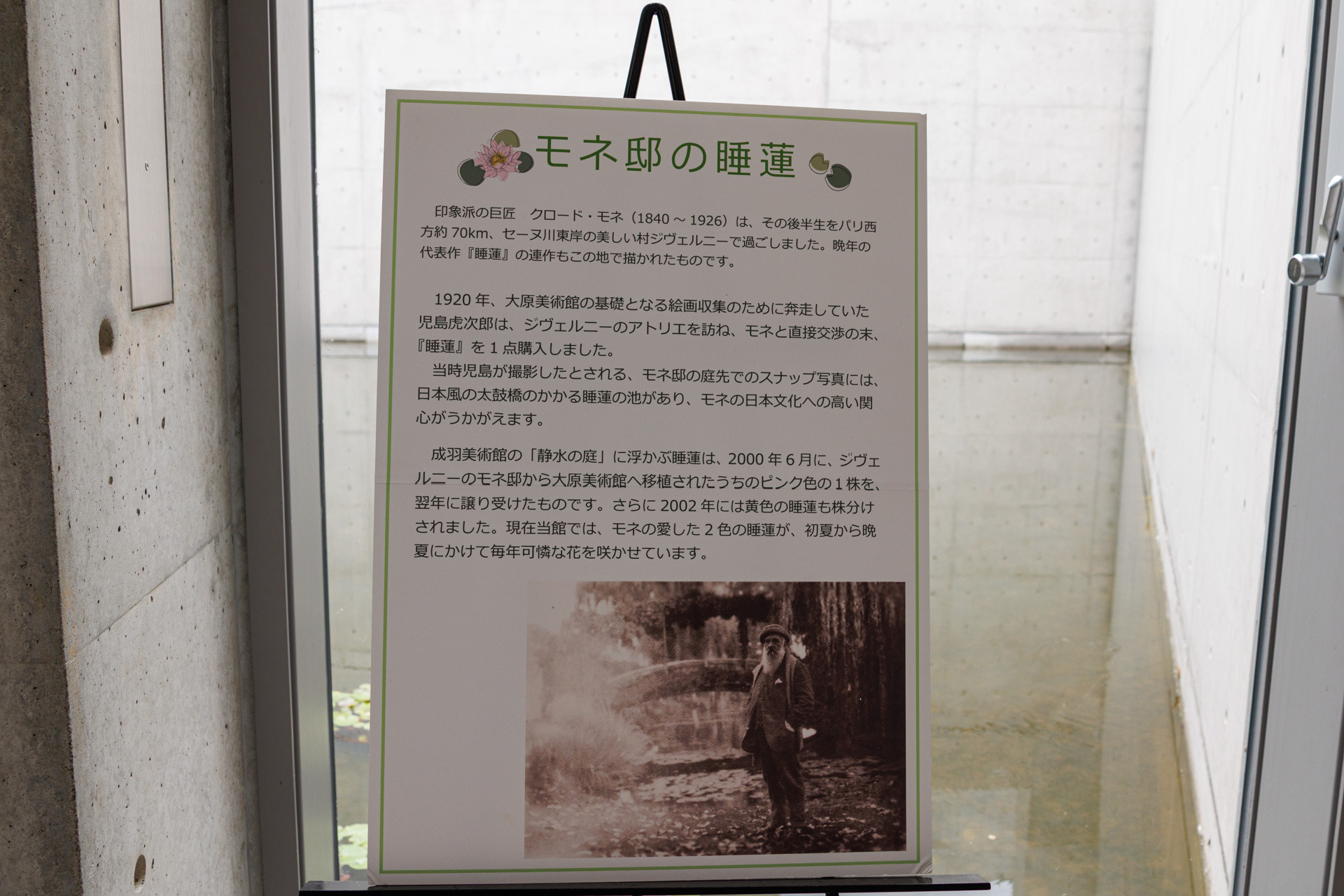 モネの睡蓮の由来についての説明もありました