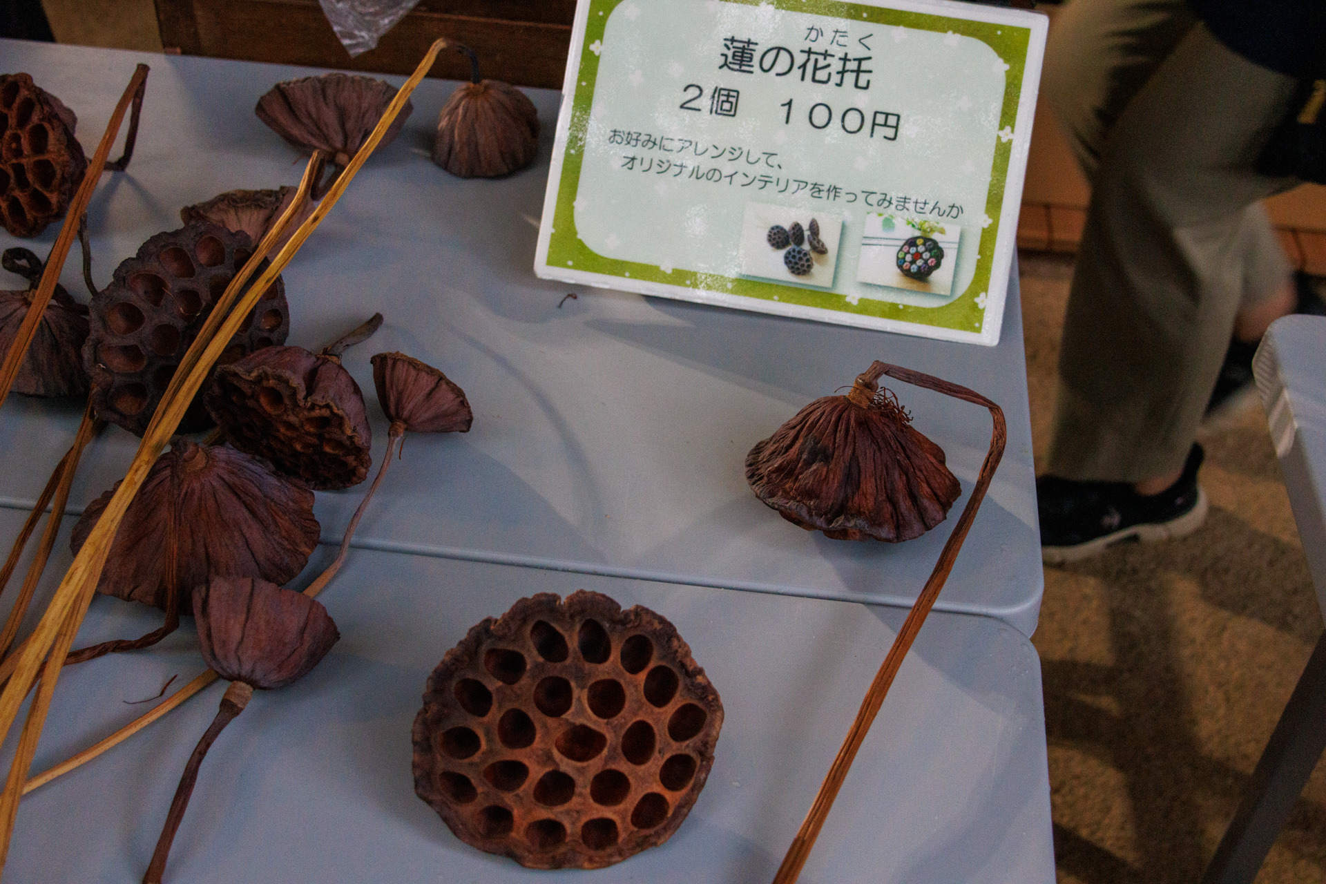 蓮の花托も販売されていました
