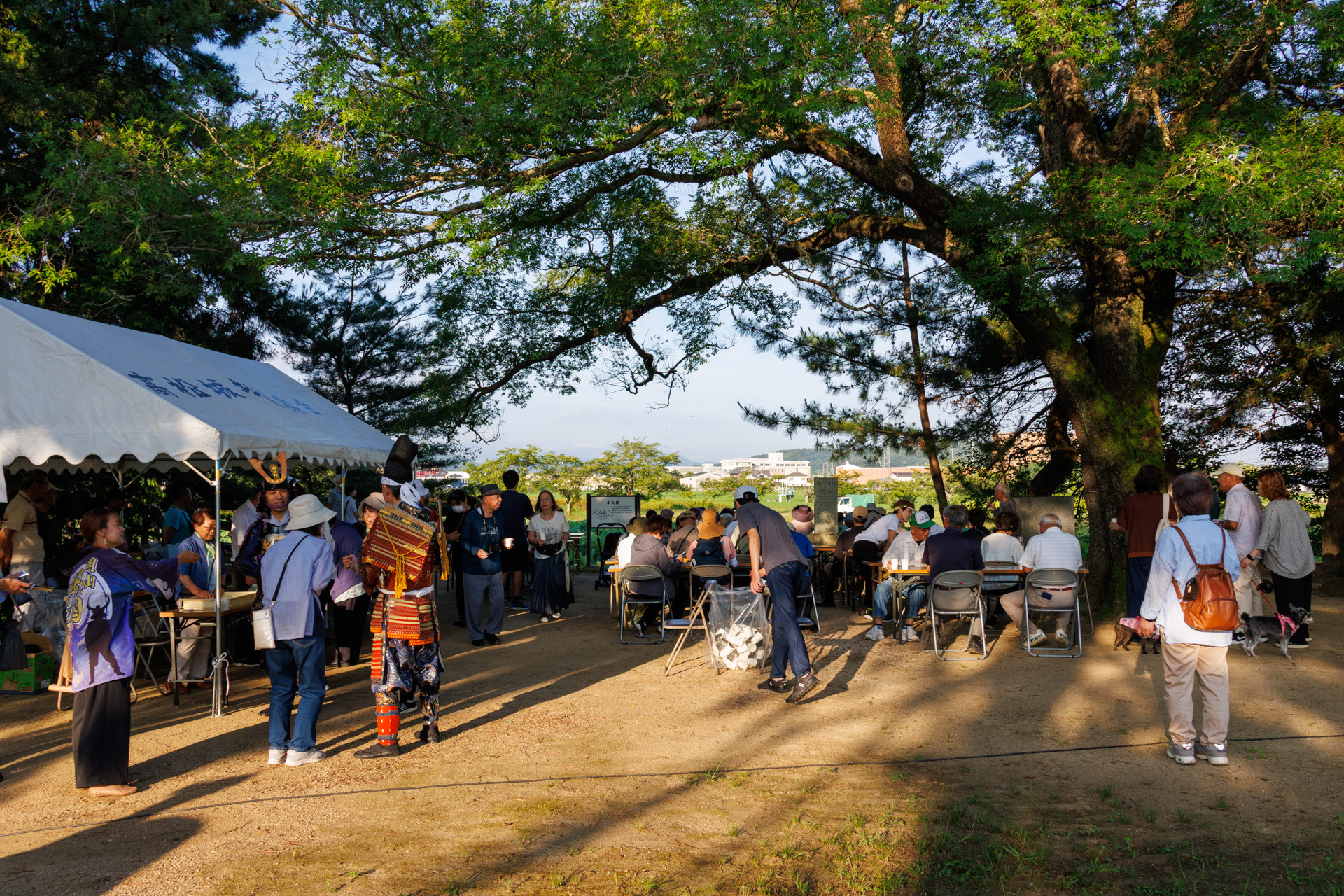 2026年7月12日(日)6時より開催された宗治ハス蓮見会の様子