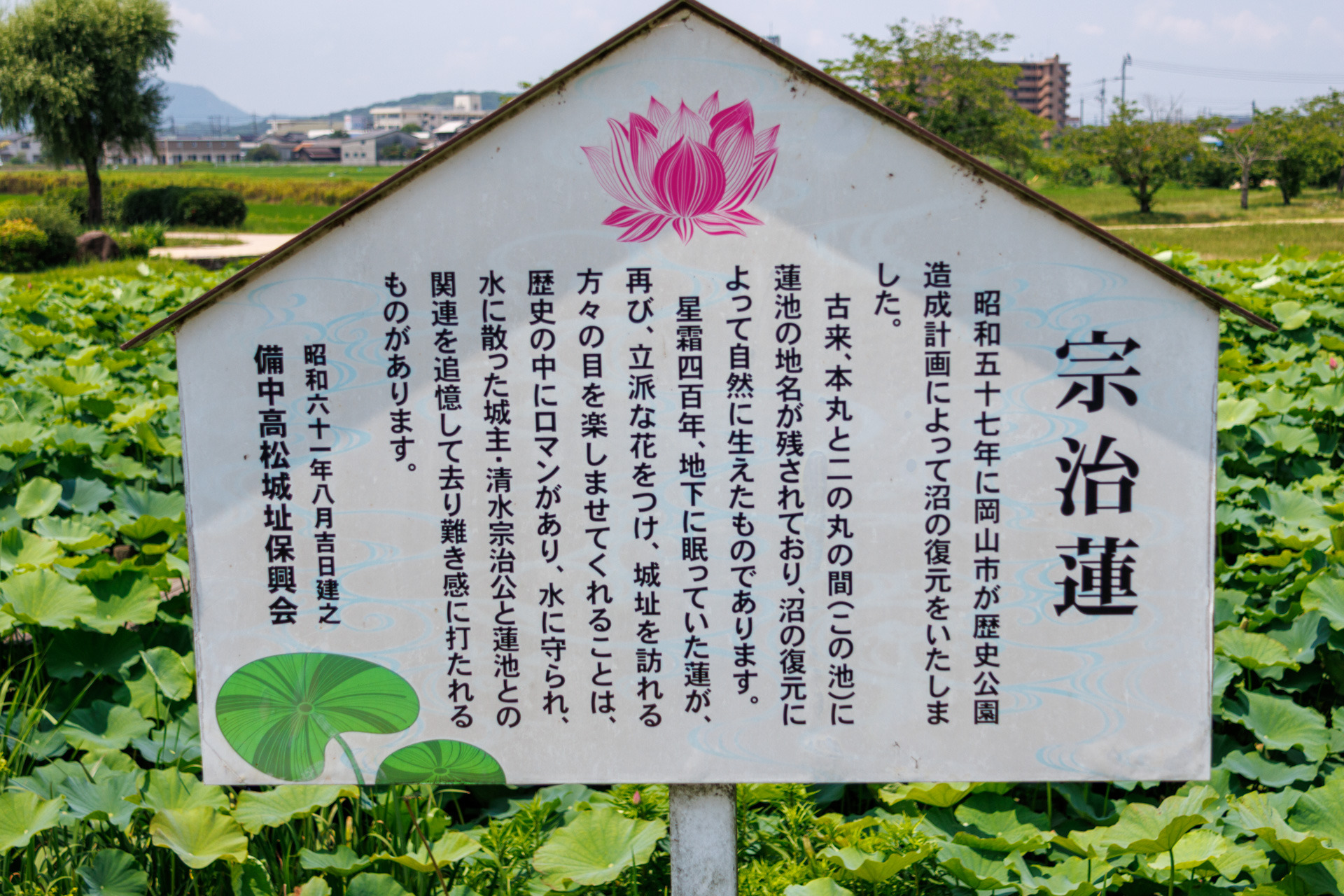 宗治ハスのいわれについて説明文がありました