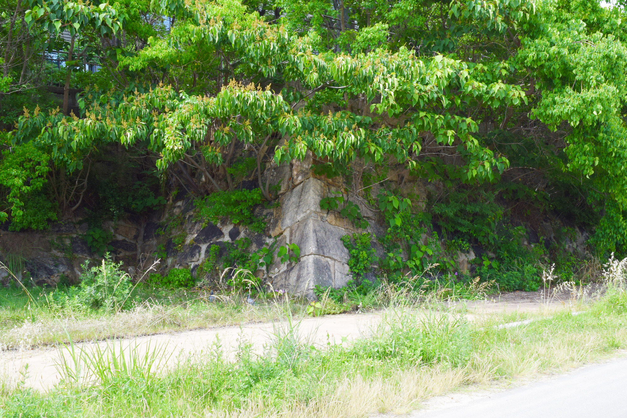 素軒屋敷櫓跡