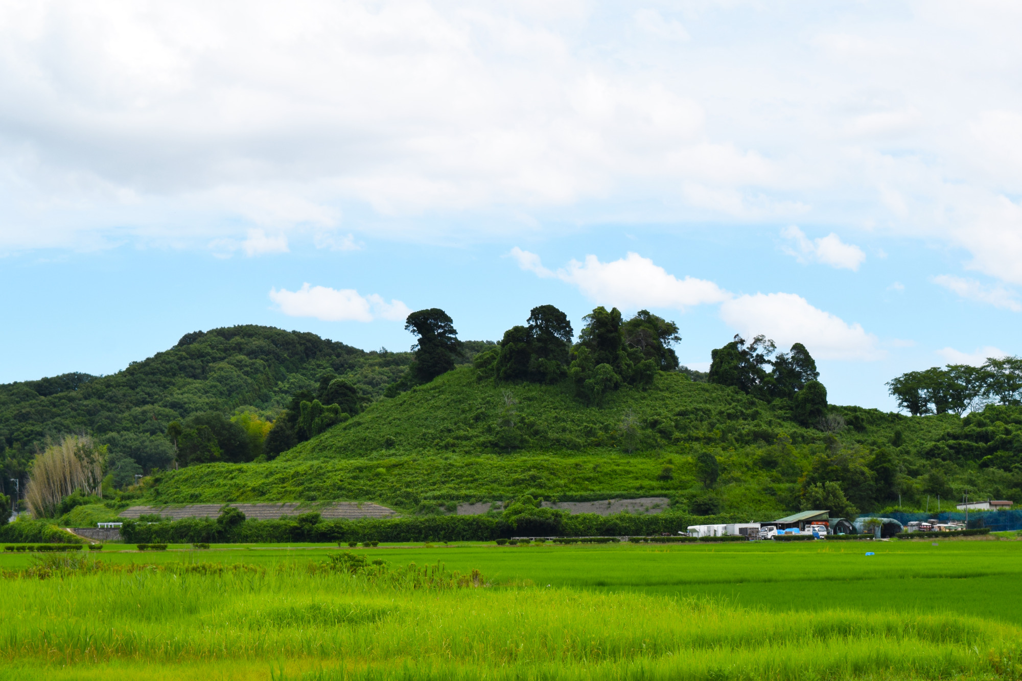 大きすぎて山にしか見えない造山古墳の後円部