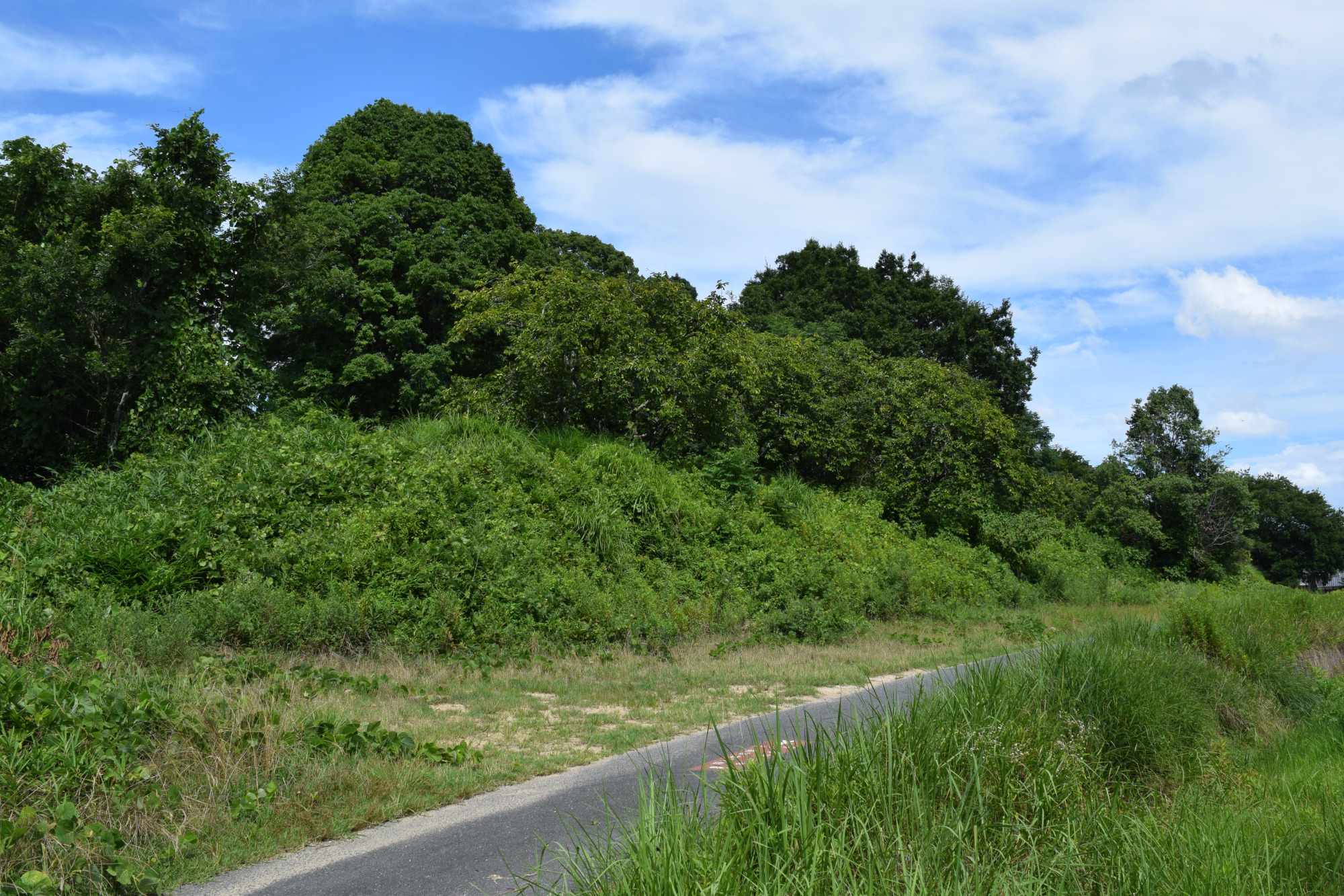 大きすぎて山にしか見えない造山古墳の前方部