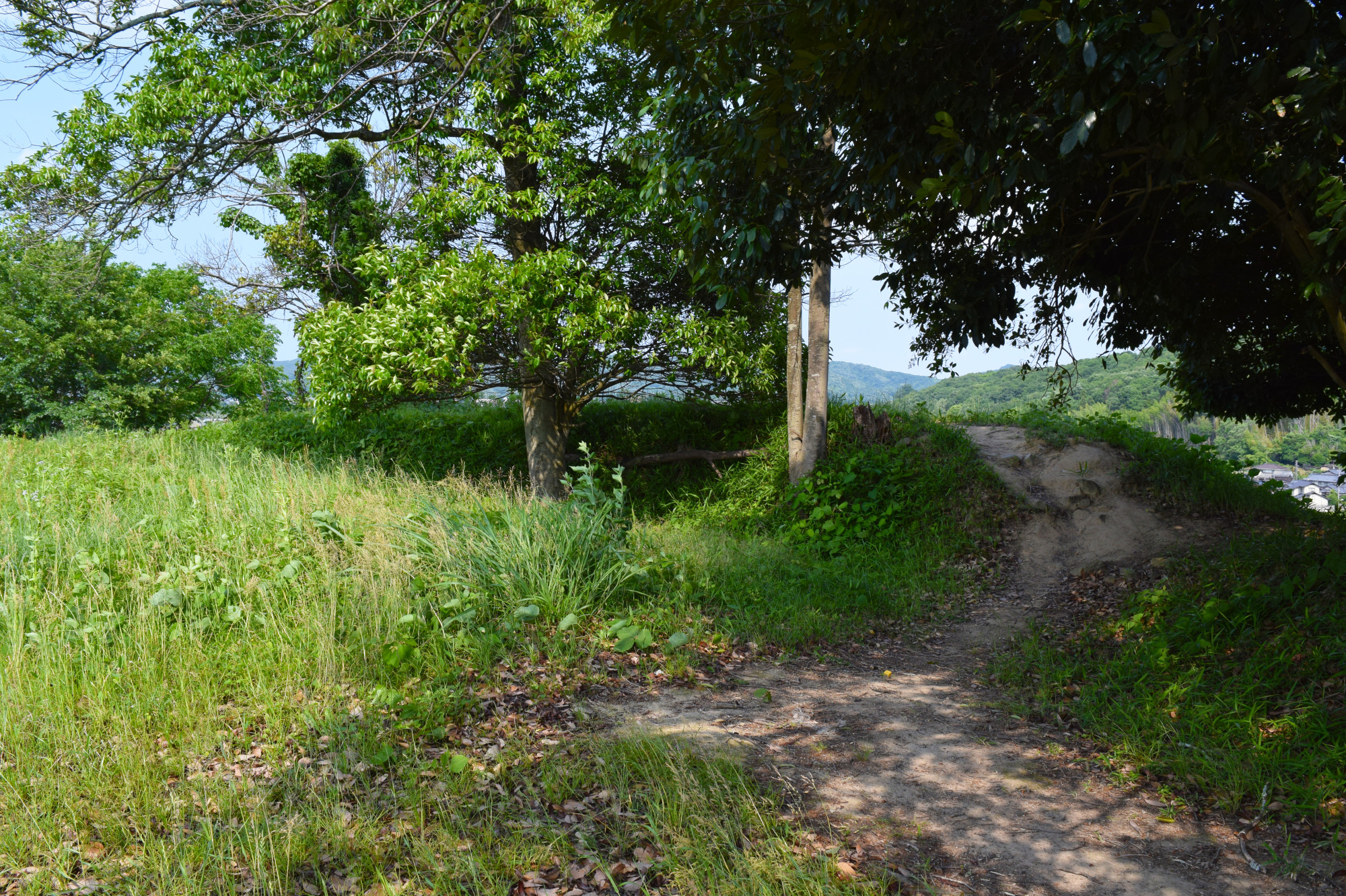 後円部の墳頂に残る土塁