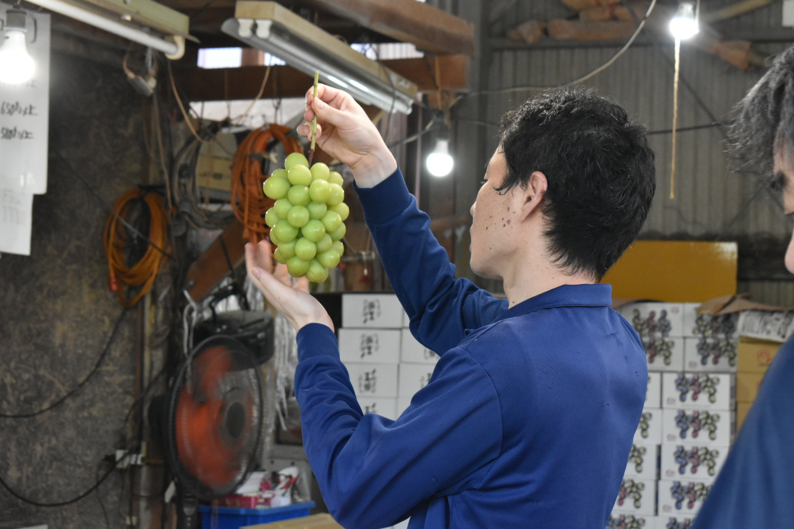 房の1粒1粒をチェック