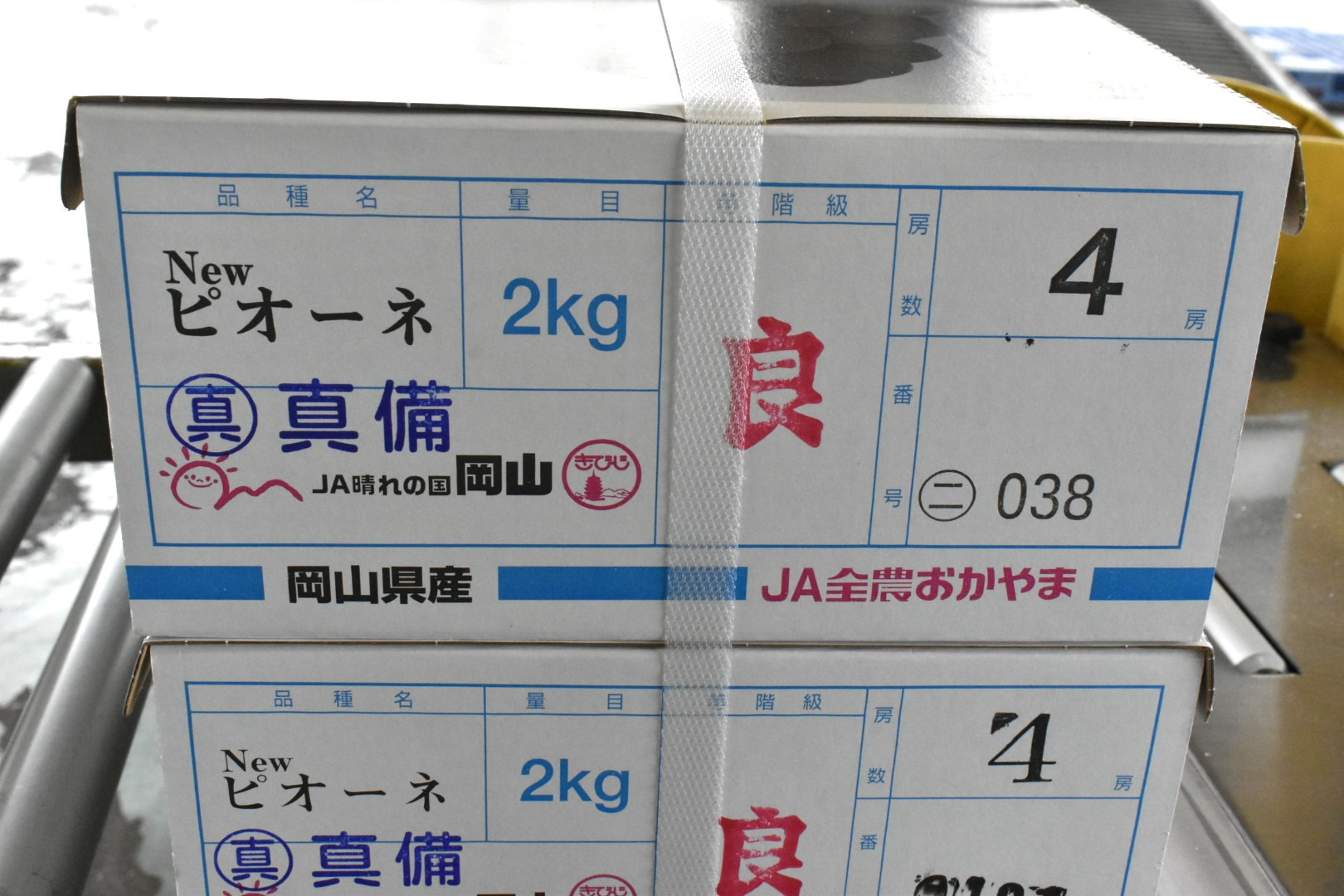 真備産のぶどう〇の中に真
