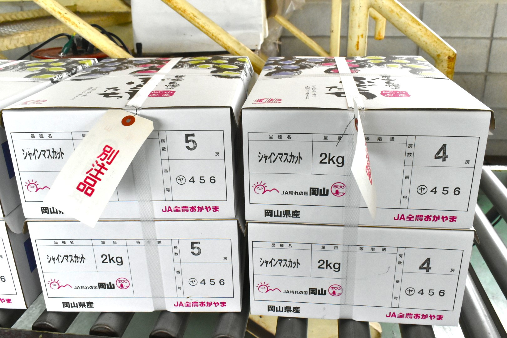真備産のぶどう〇の中にヤ