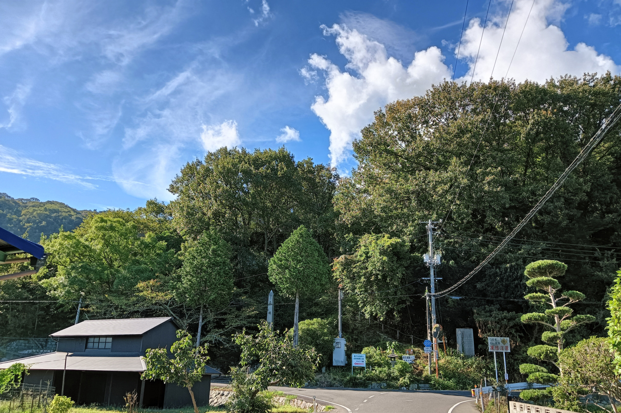 砥石城跡遠景