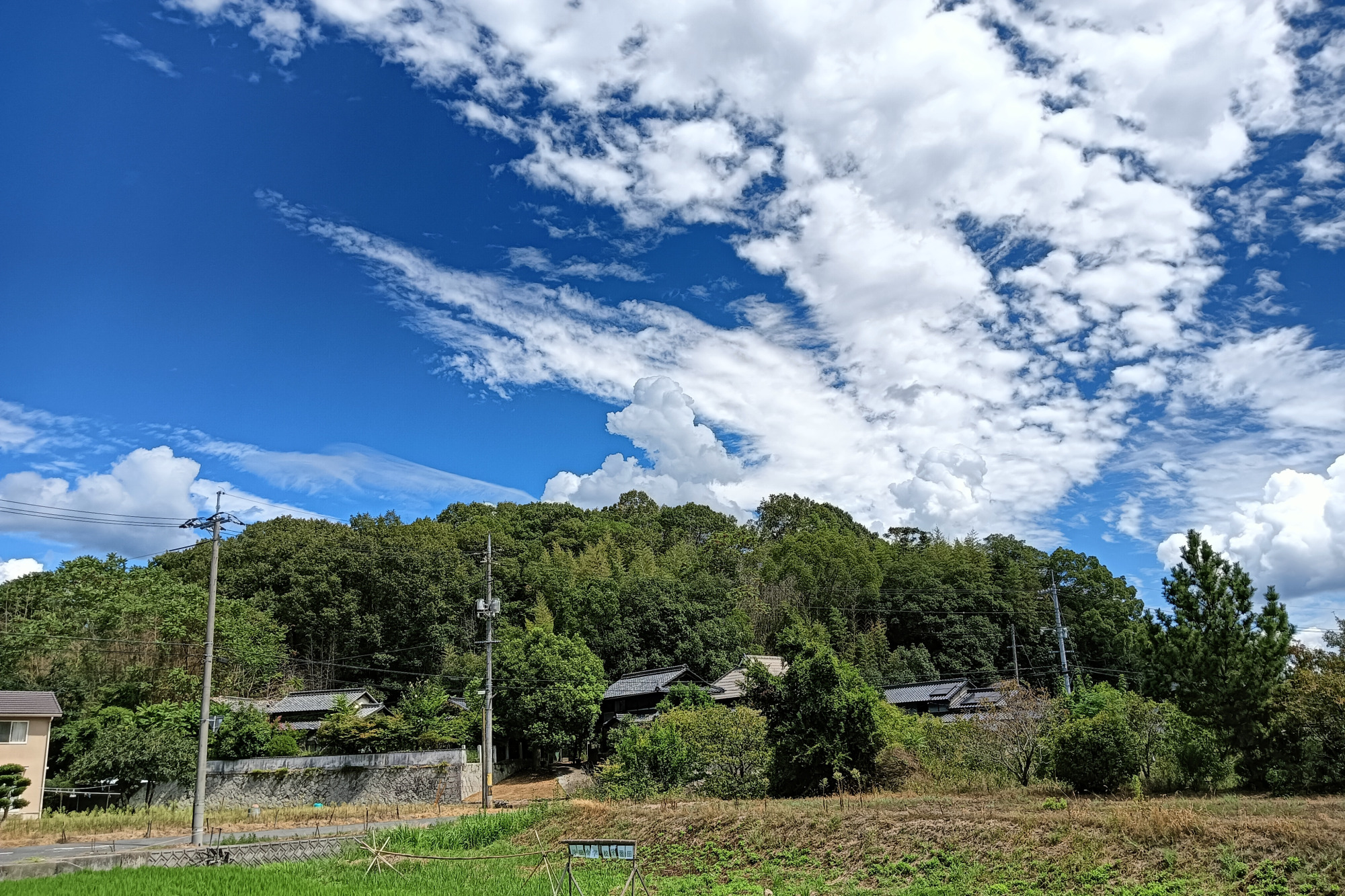 沼城遠景