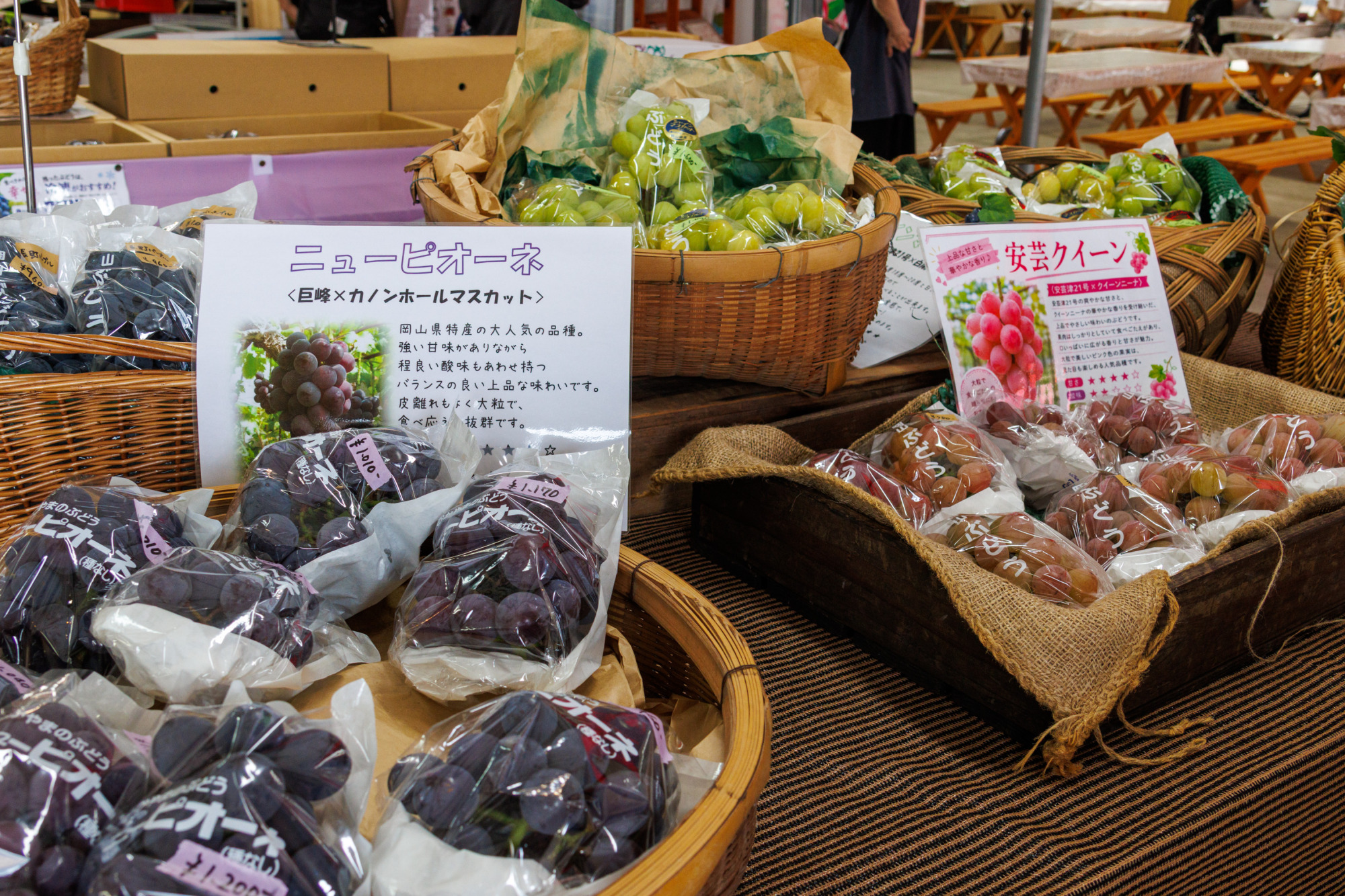 さまざまな品種のぶどうが並びます