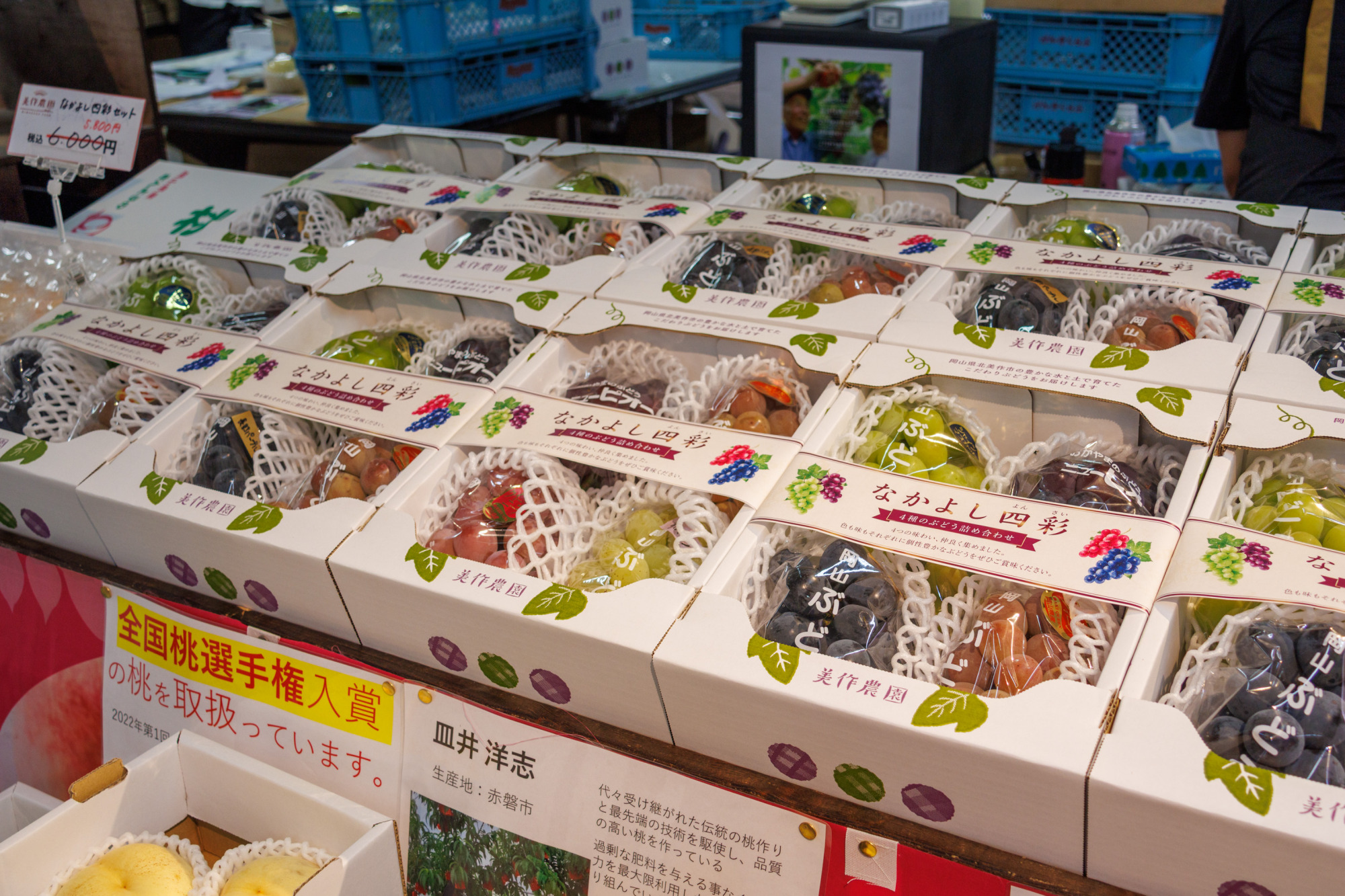 贈答用の箱入りぶどうも