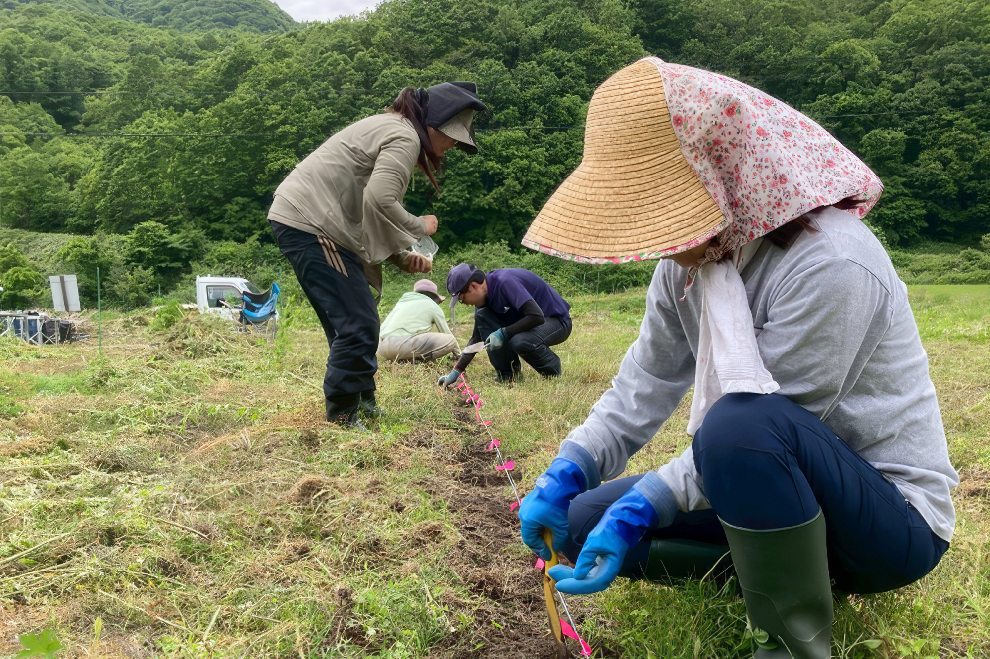大豆の育成から(画像提供:ボスケリコ農園)
