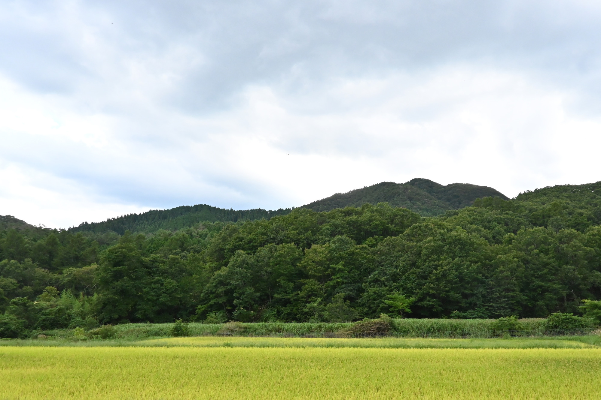 「OPEN HOUSE」前の景色