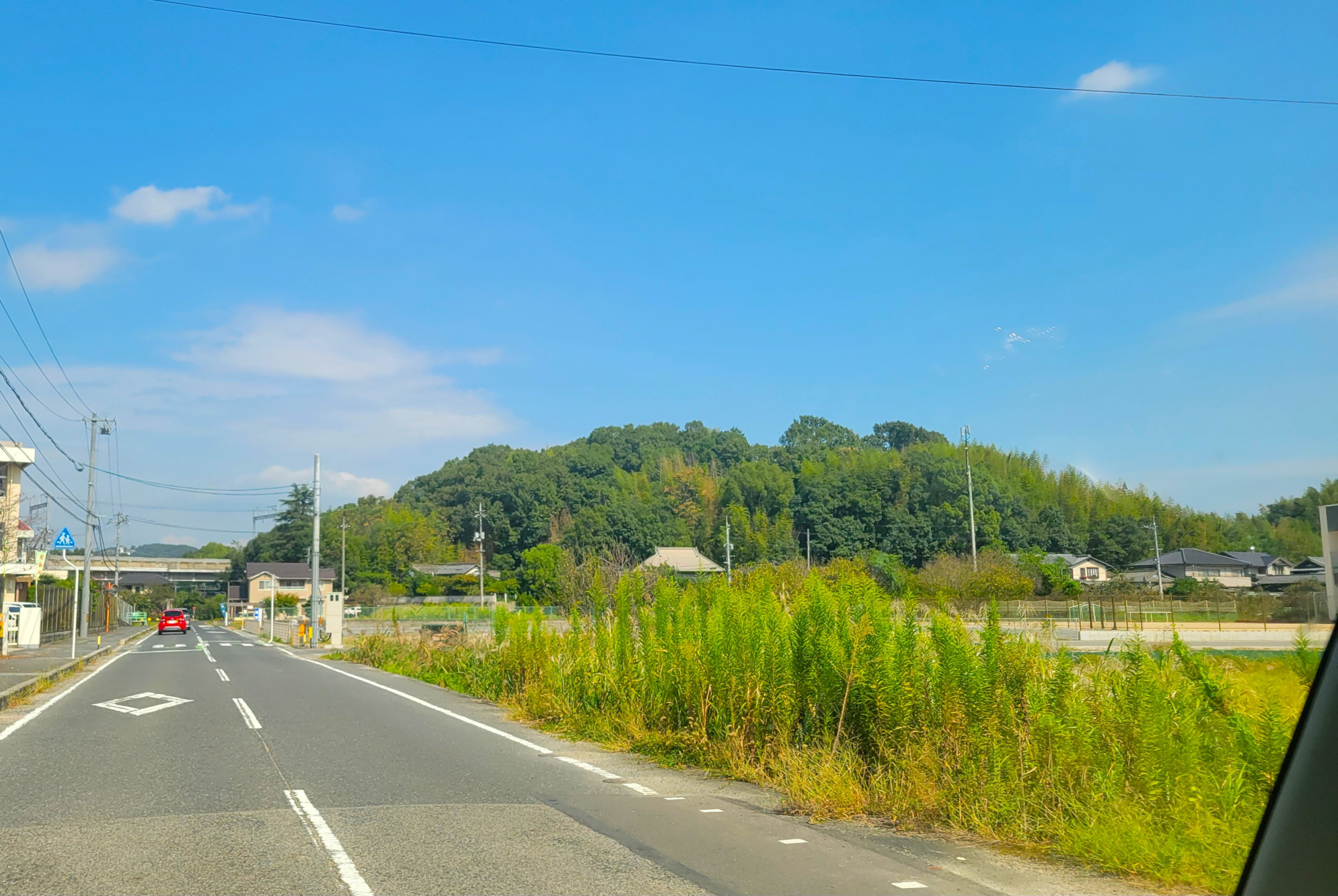亀山城全景