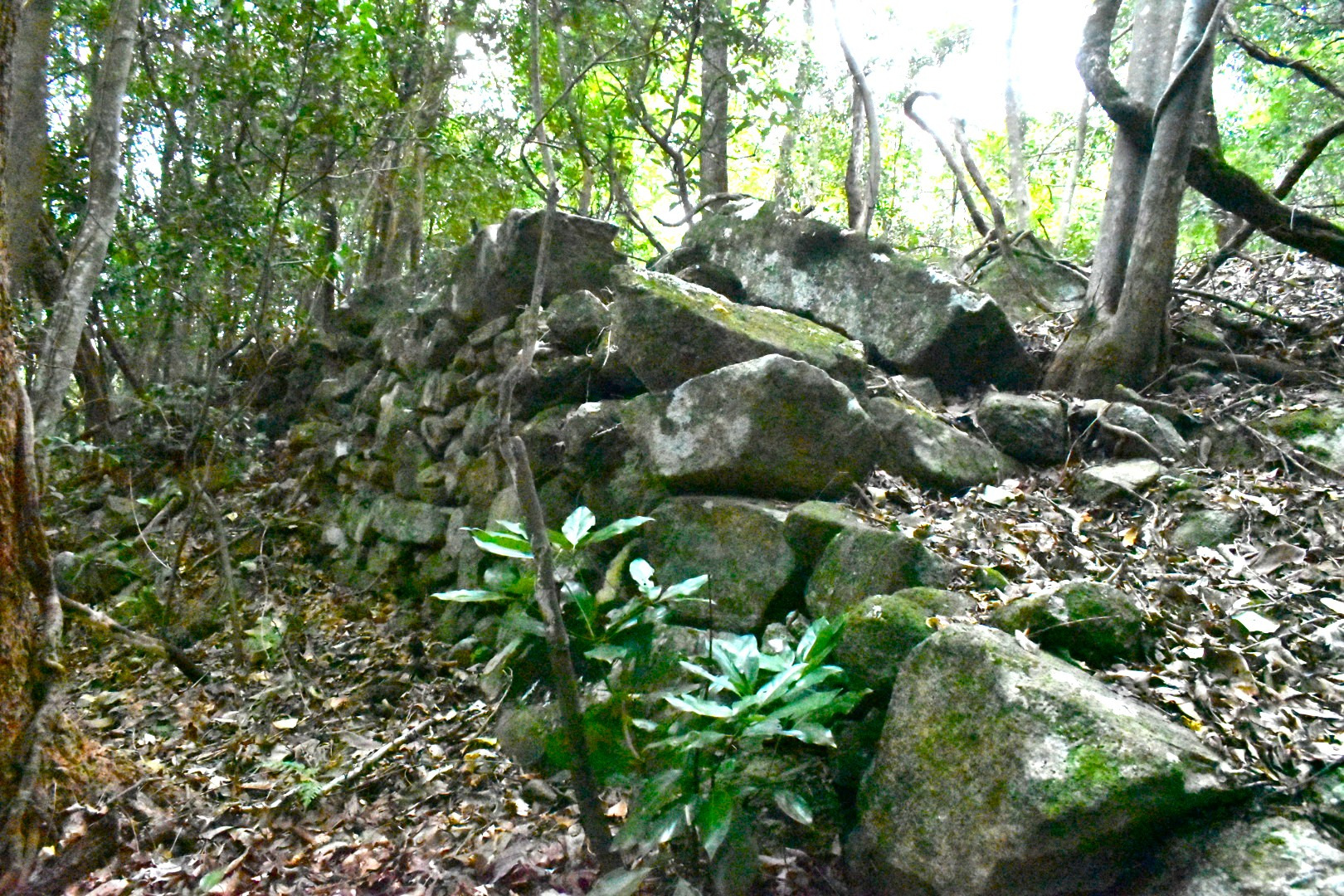広瀬侍屋敷跡石垣