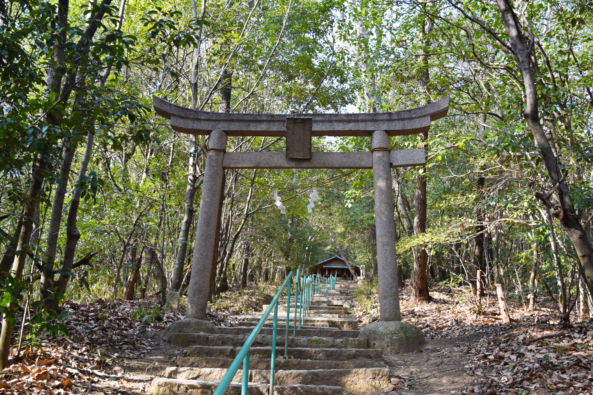 尾治針名眞若比咩神社