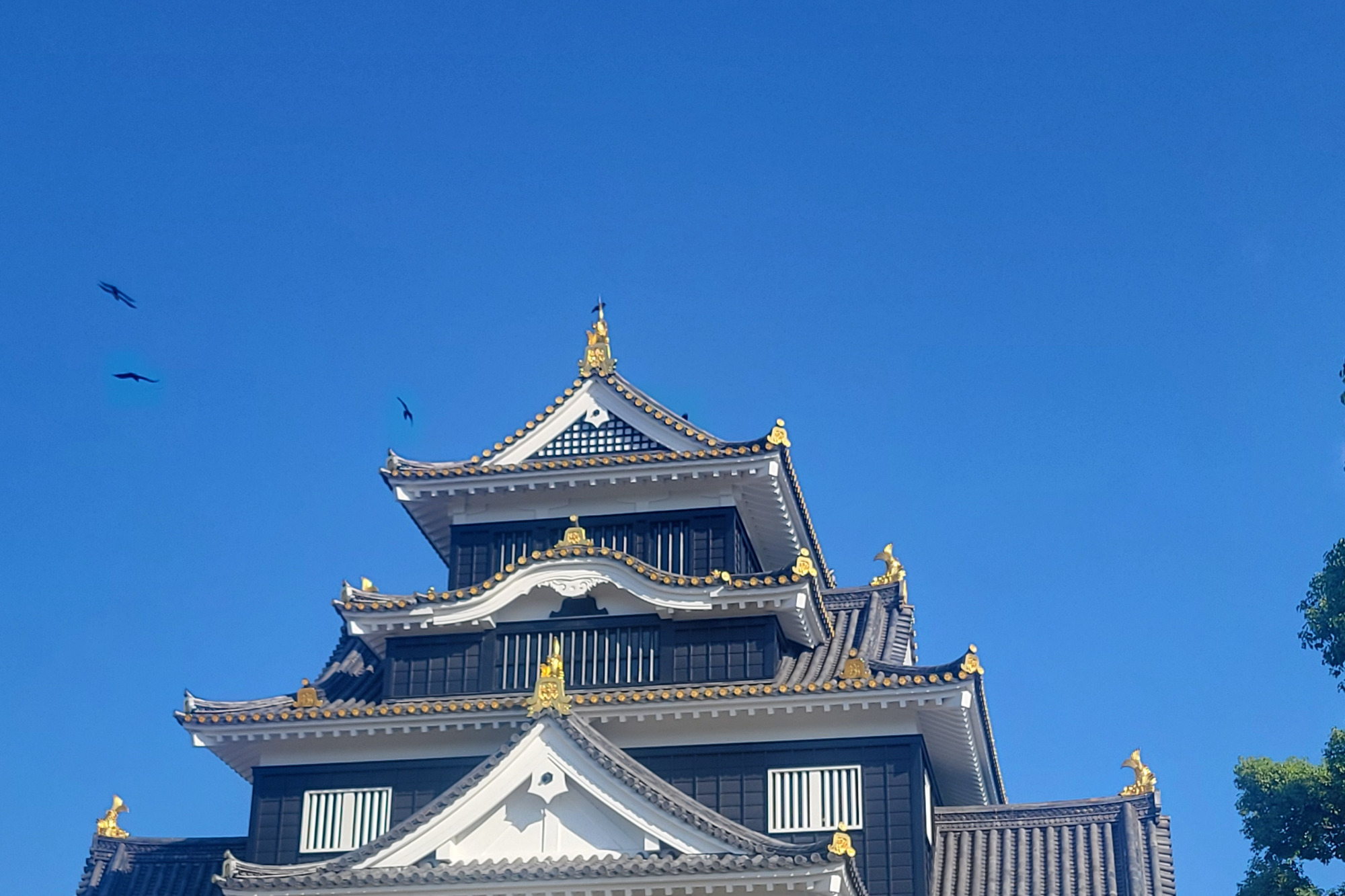 烏城と烏と金箔瓦(令和の大改修で復元されたもの)