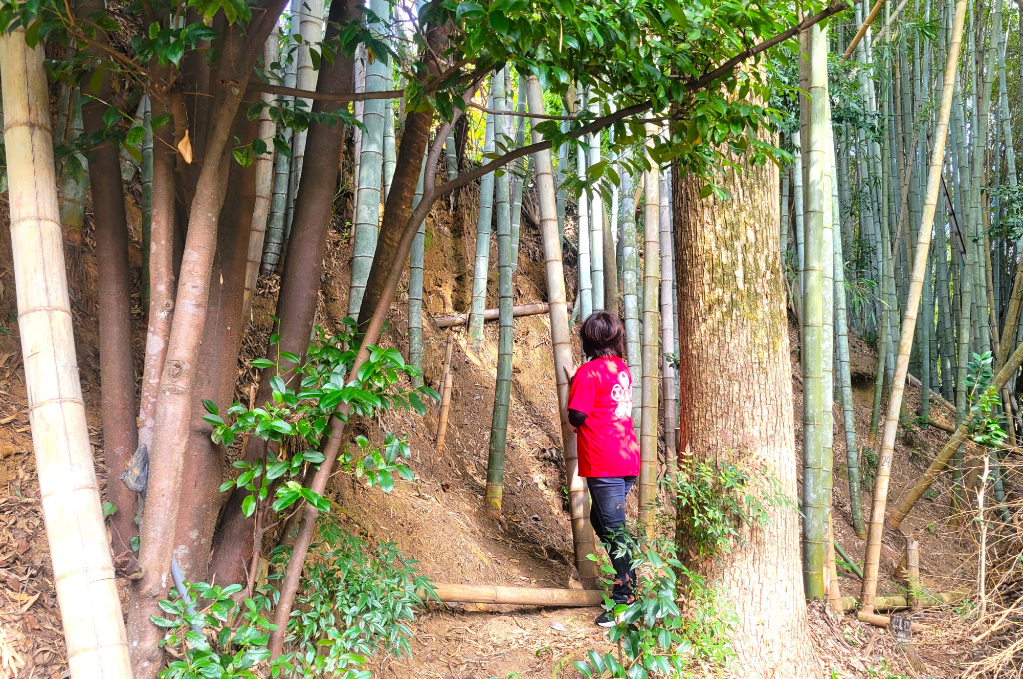 正霊山城はリア攻め(人工的に斜面を削り出した切岸)