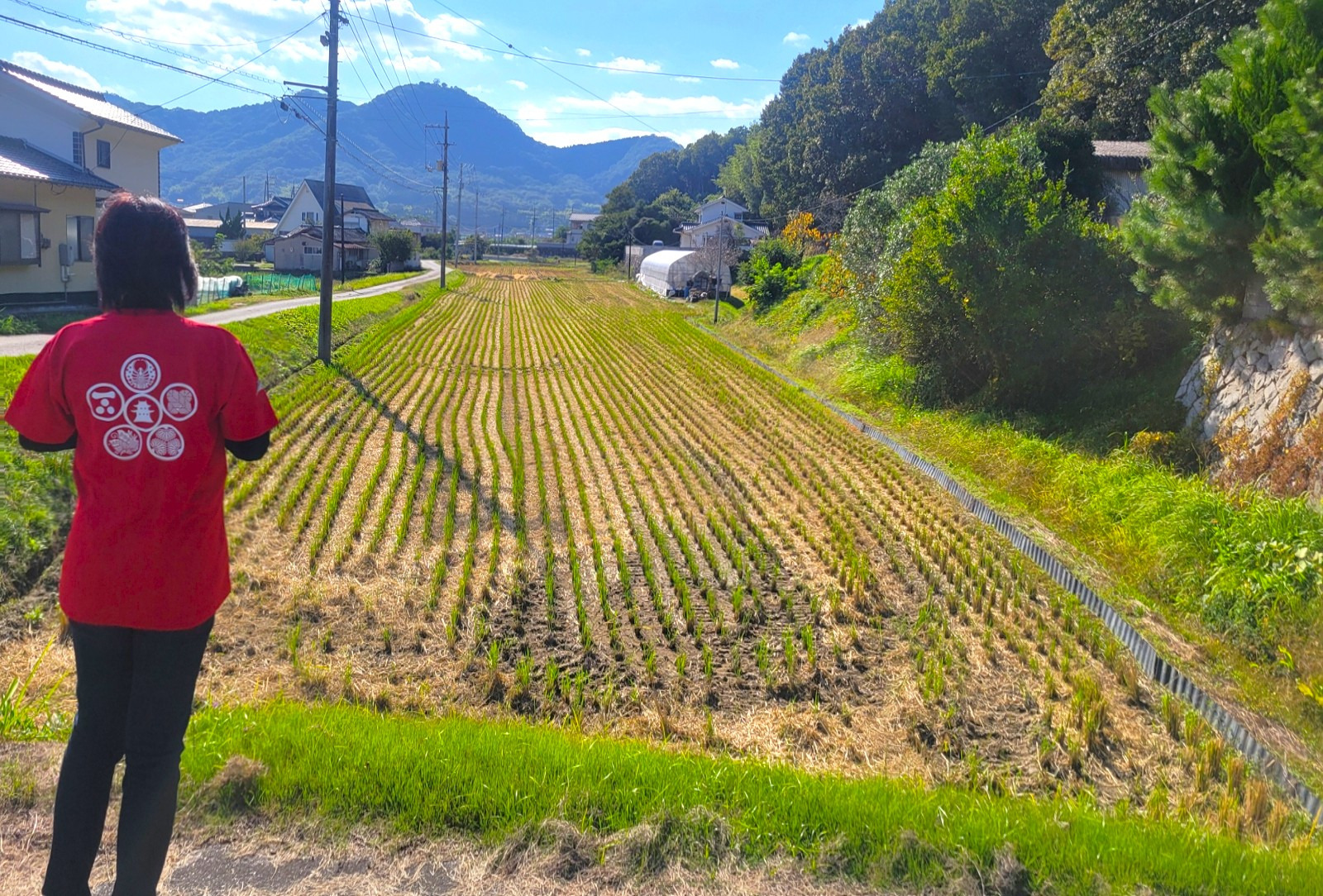 茶臼山城水堀跡